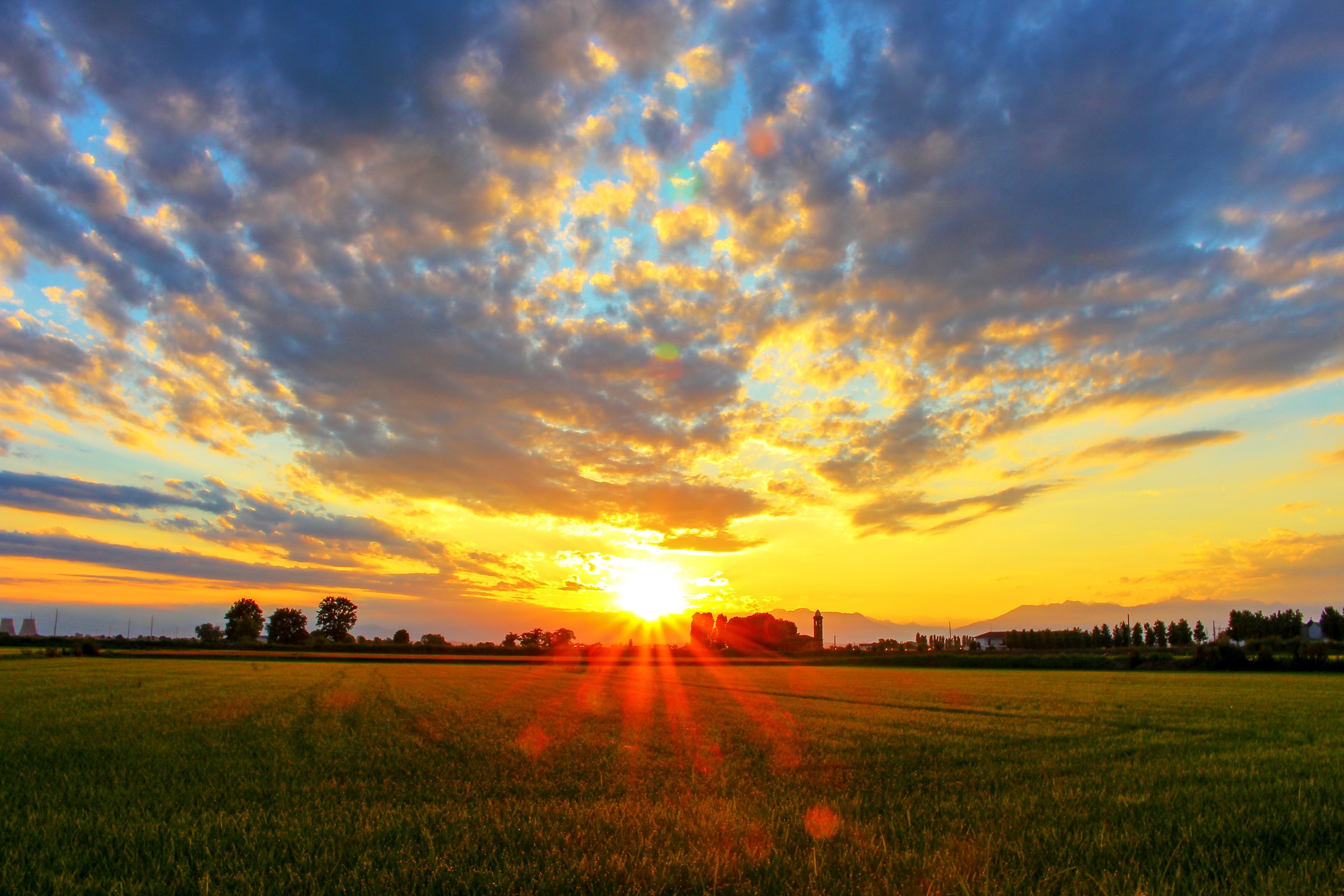 The warmth of the evening sun-Vercellese Paddy-luglio2018