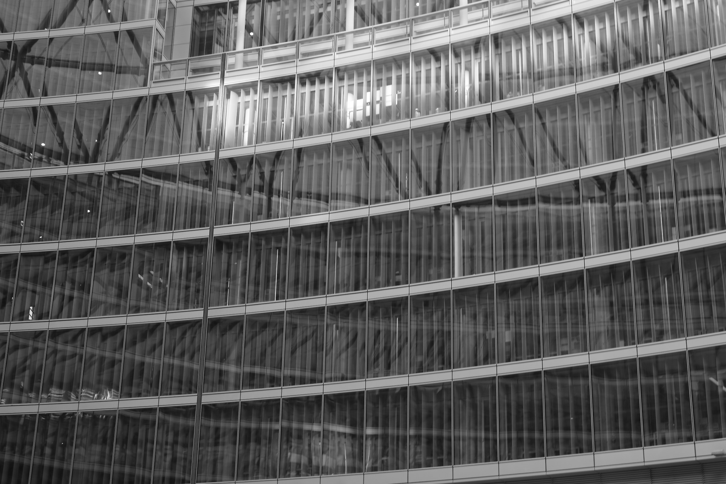 Palace of the region (detail)