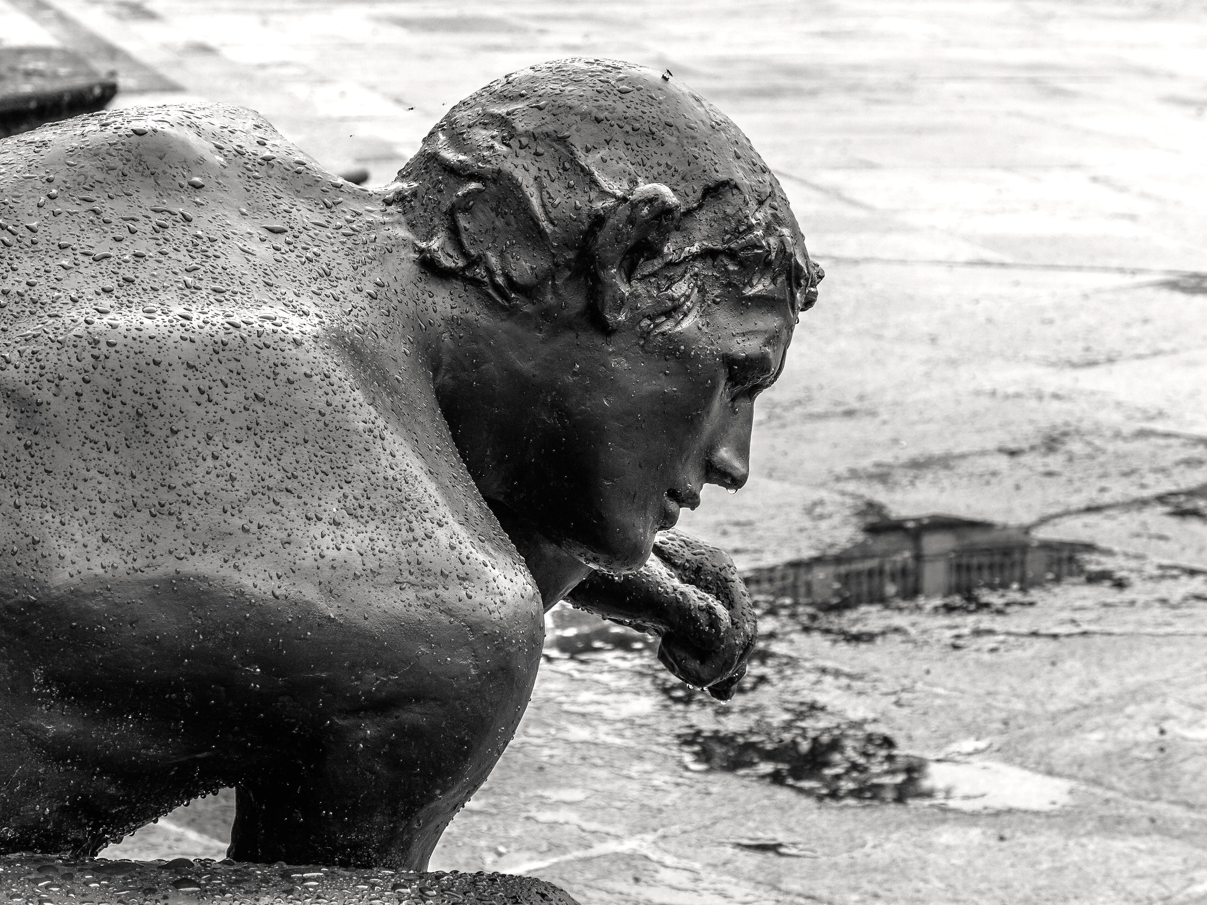 Il fauno e la pioggia