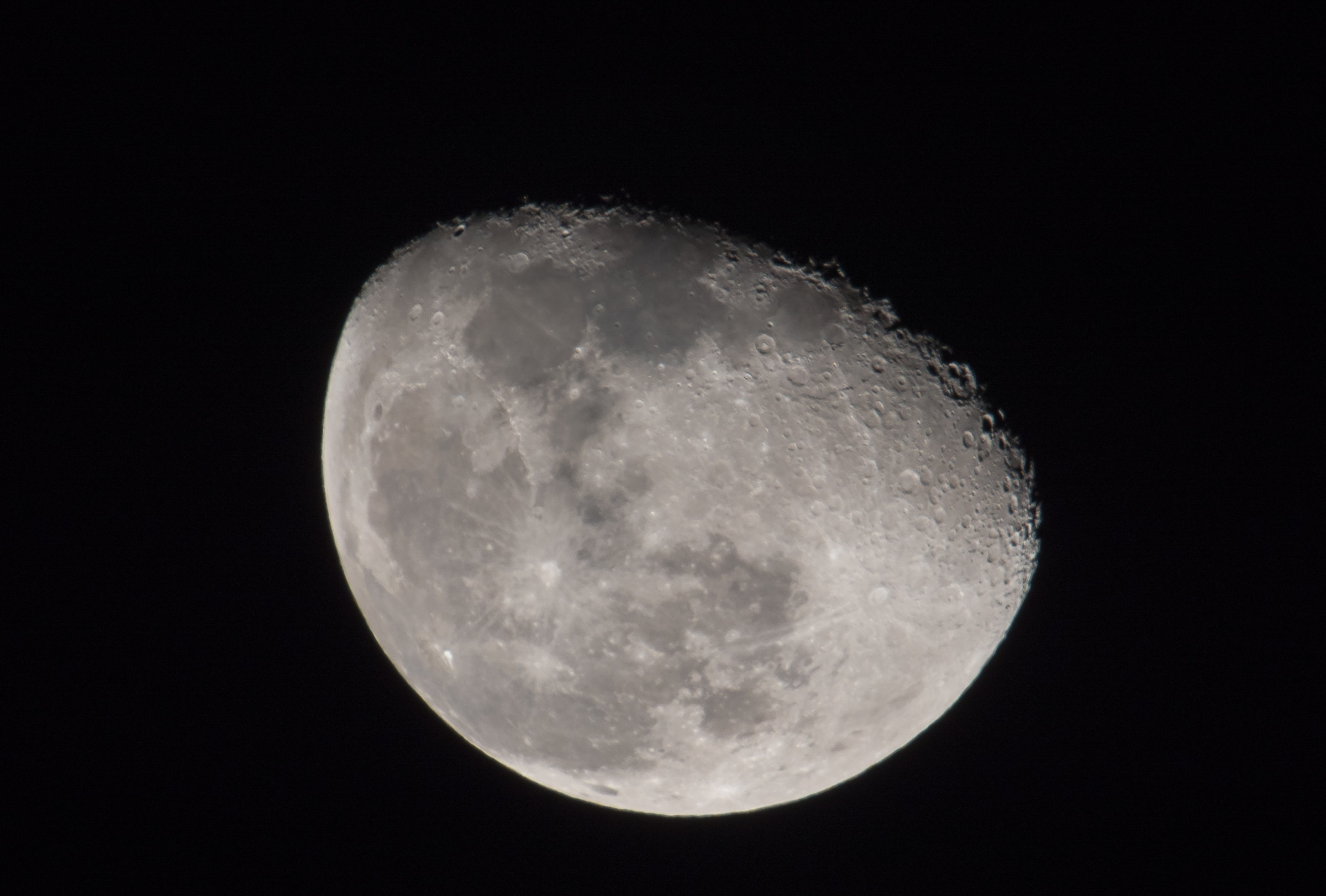 nikon d750 + tamron 1.4x + tamron 150-600