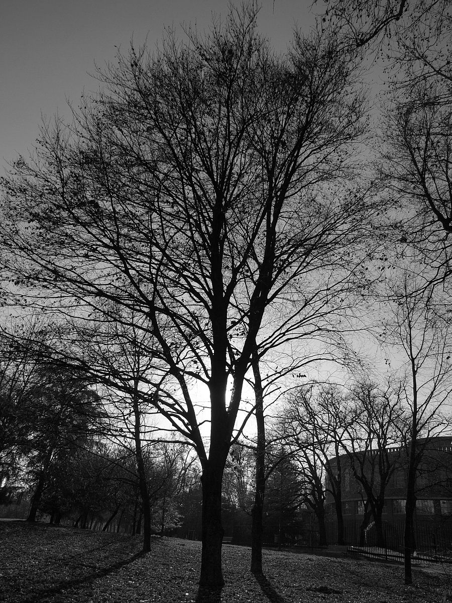 backlight to the castle