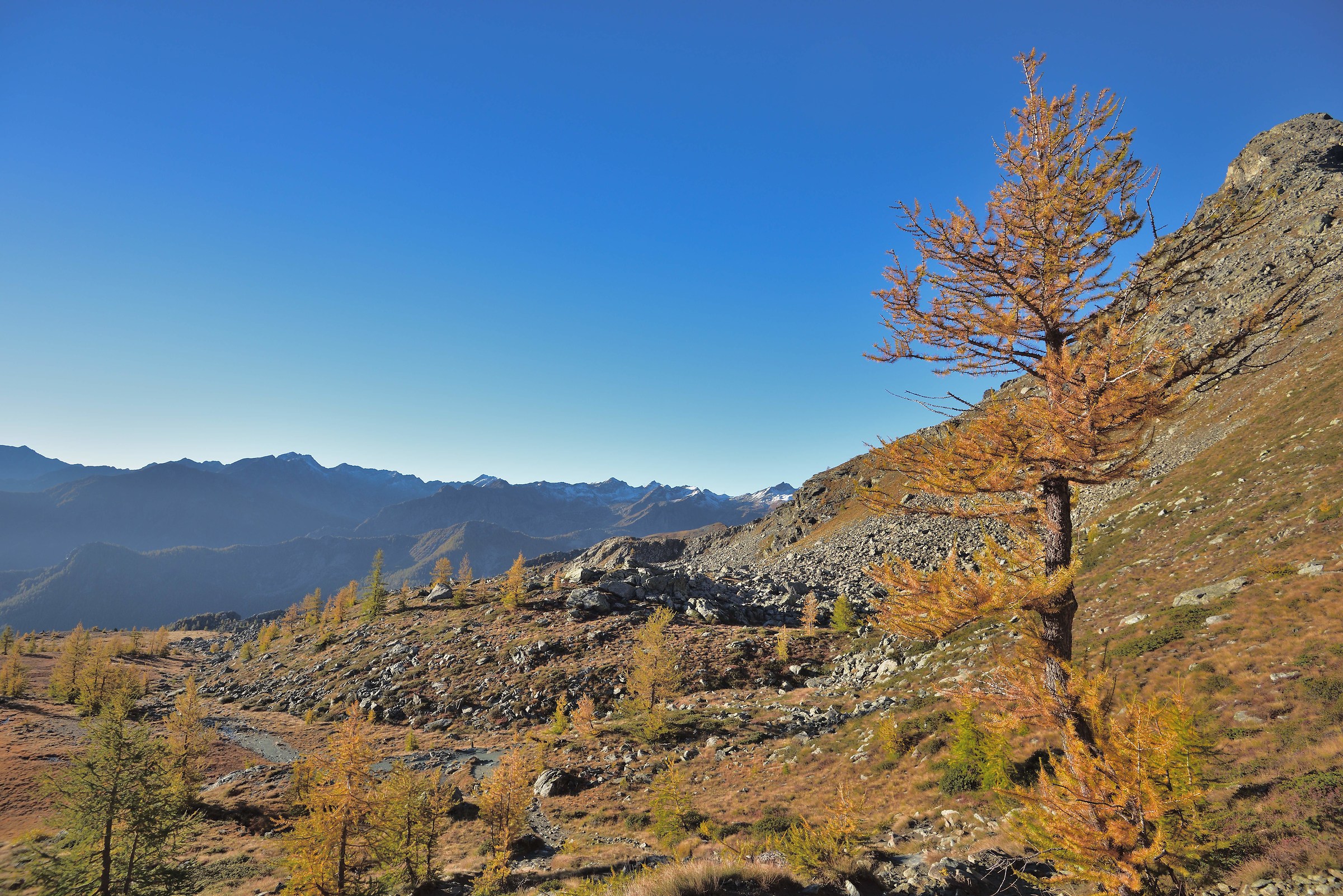 In the background the peaks that divide the Valnontey
