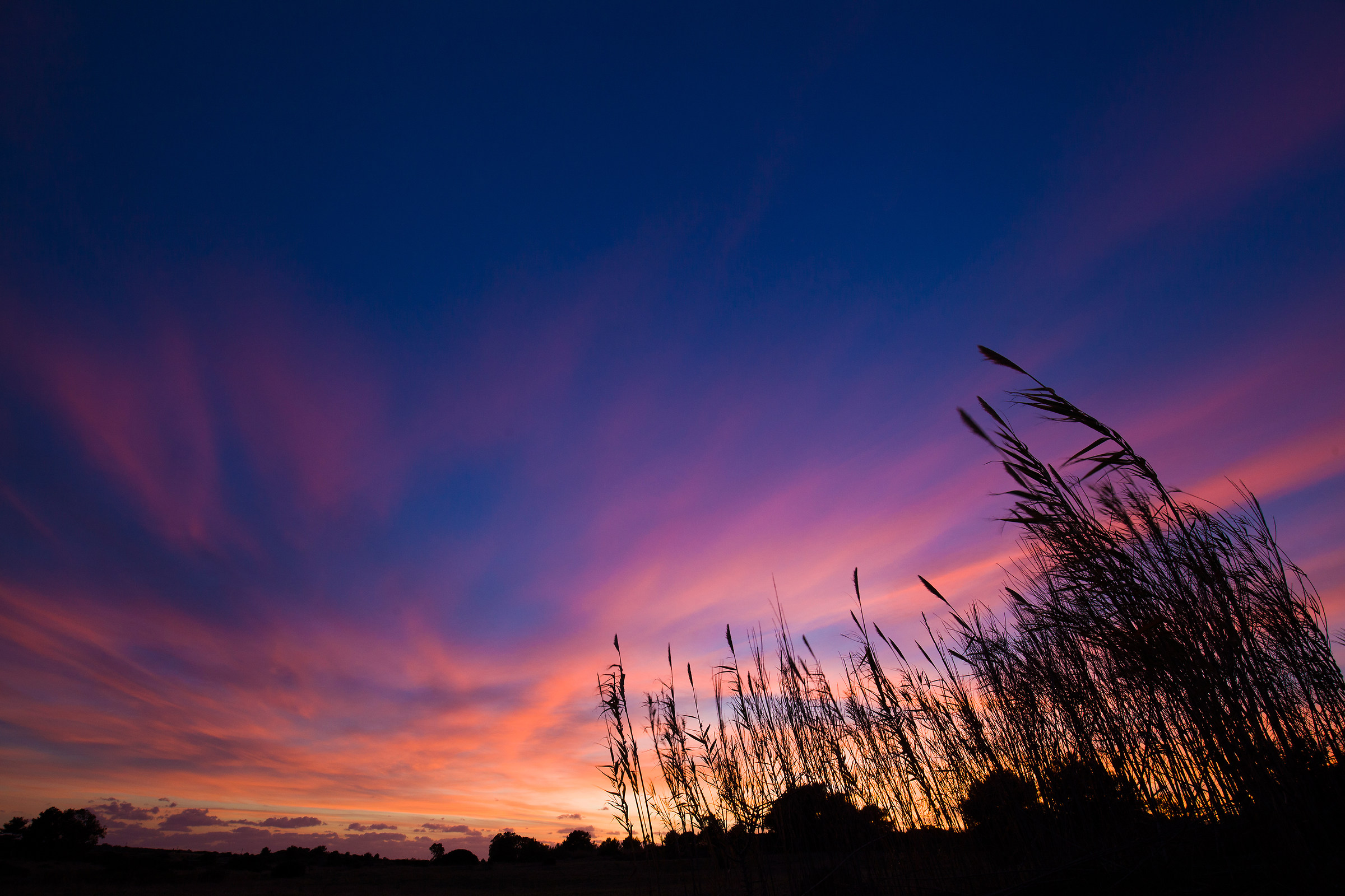 Fiery sunset in Salento