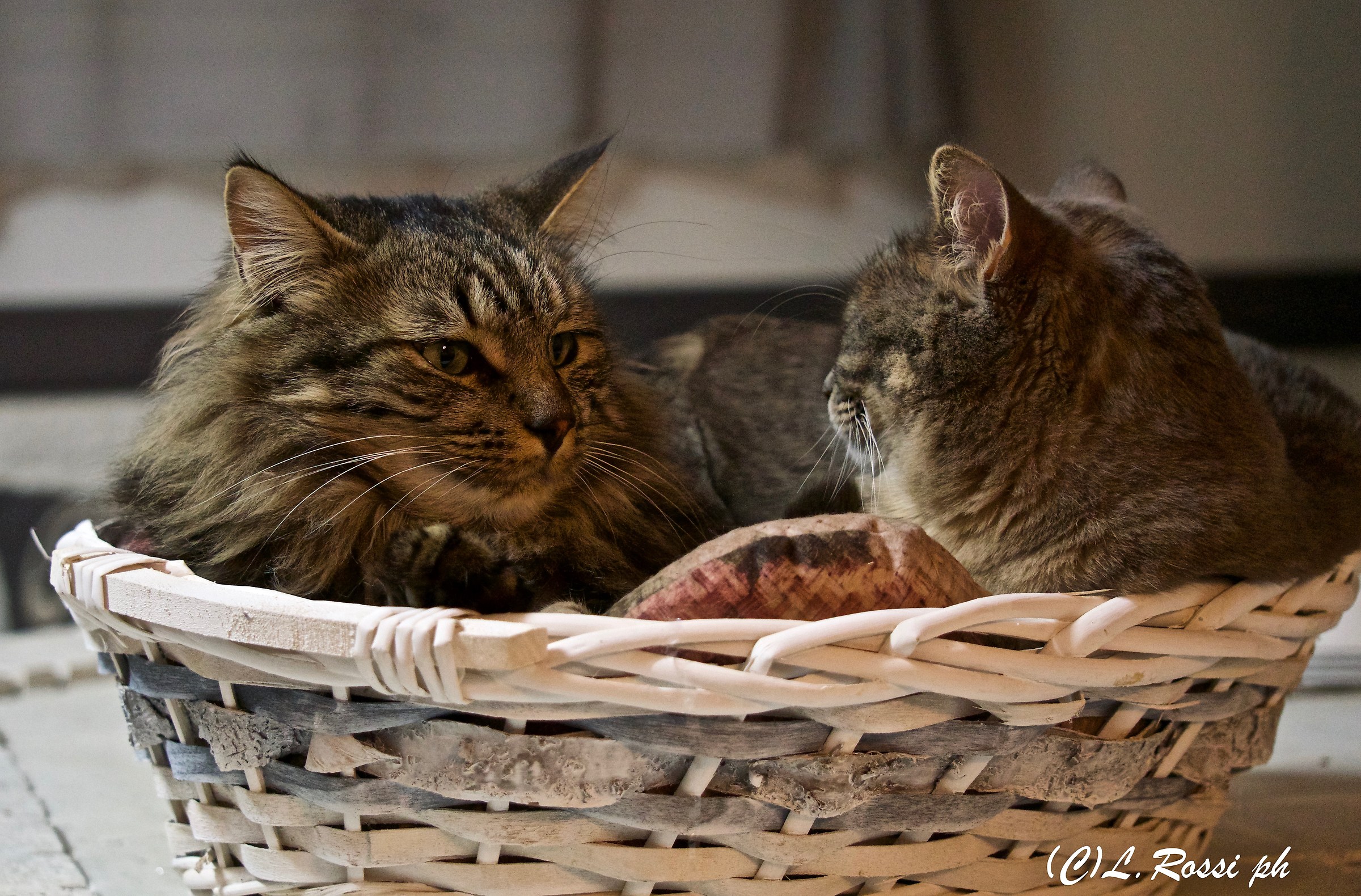 Let's go??? No Dai we're still a little bit