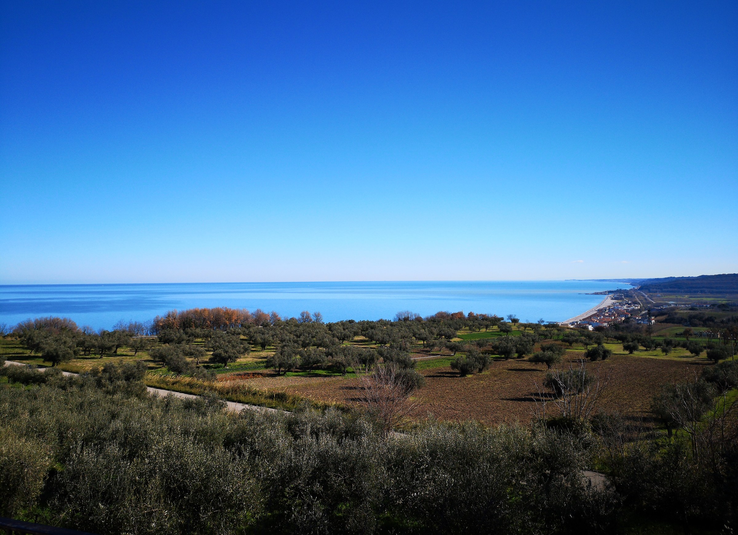 Thinking Beyond the horizon