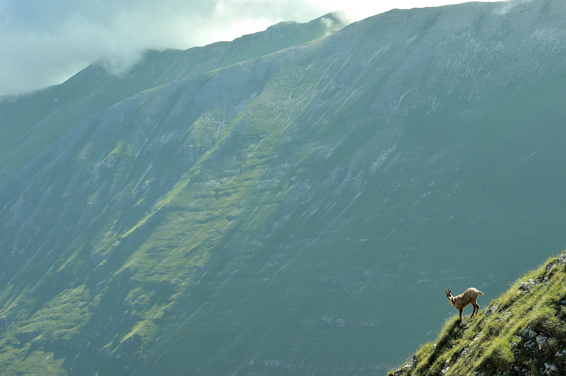 Salendo al Redentore