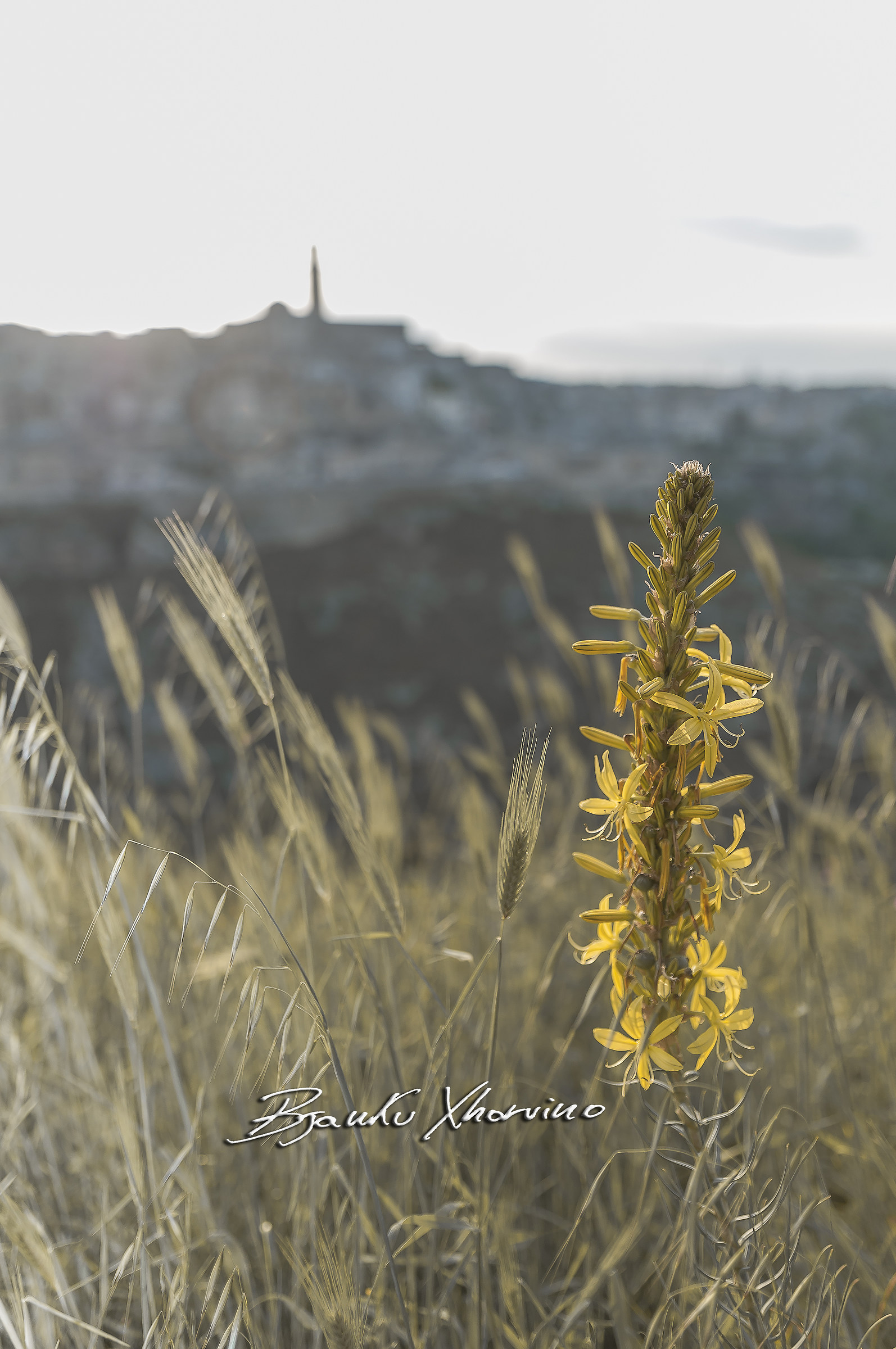 Matera