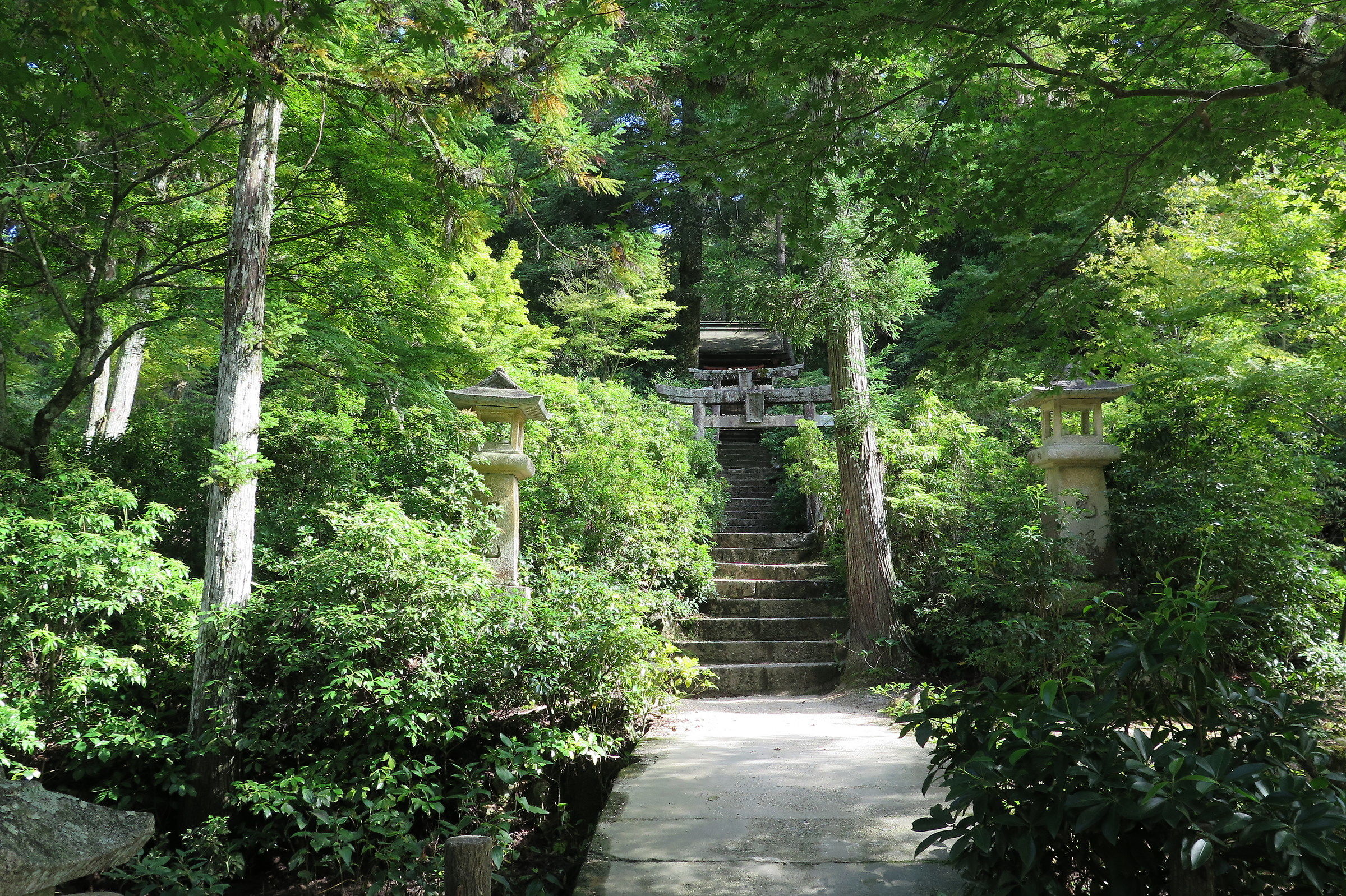 giappone-2018-001-g16