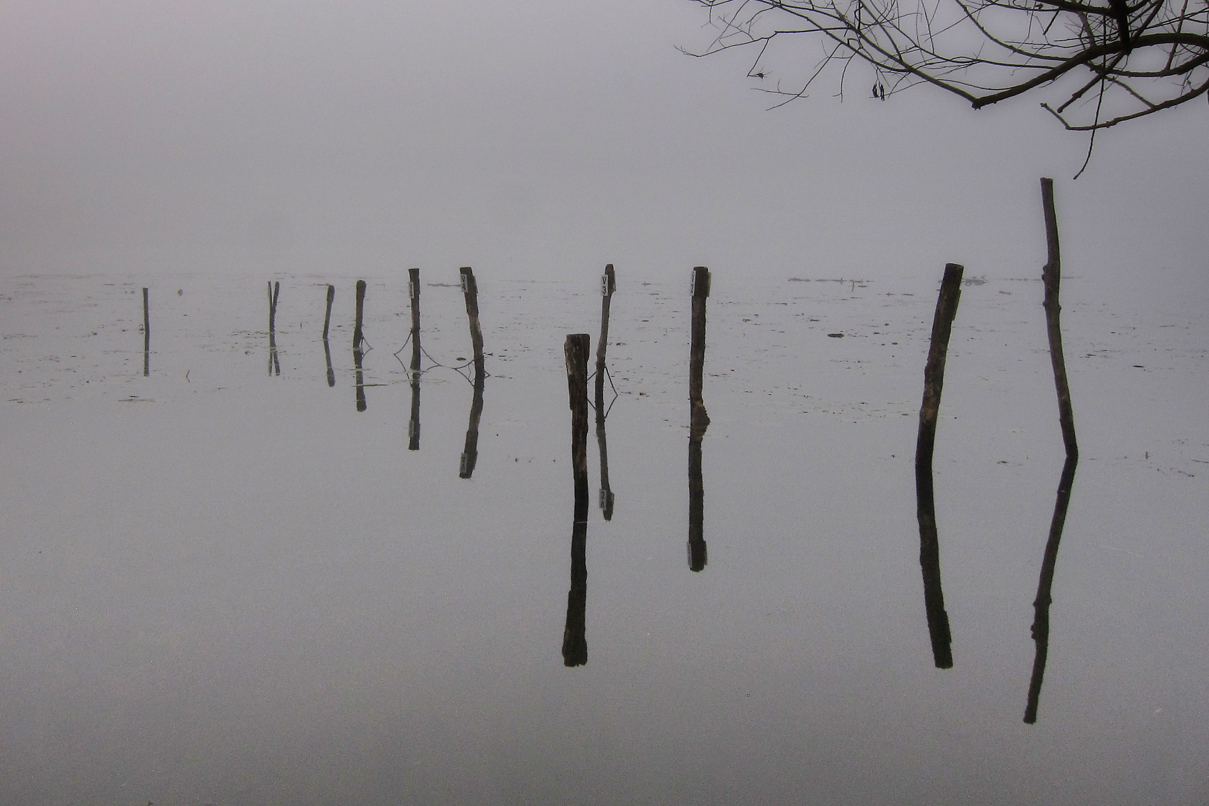 Silences on the lake