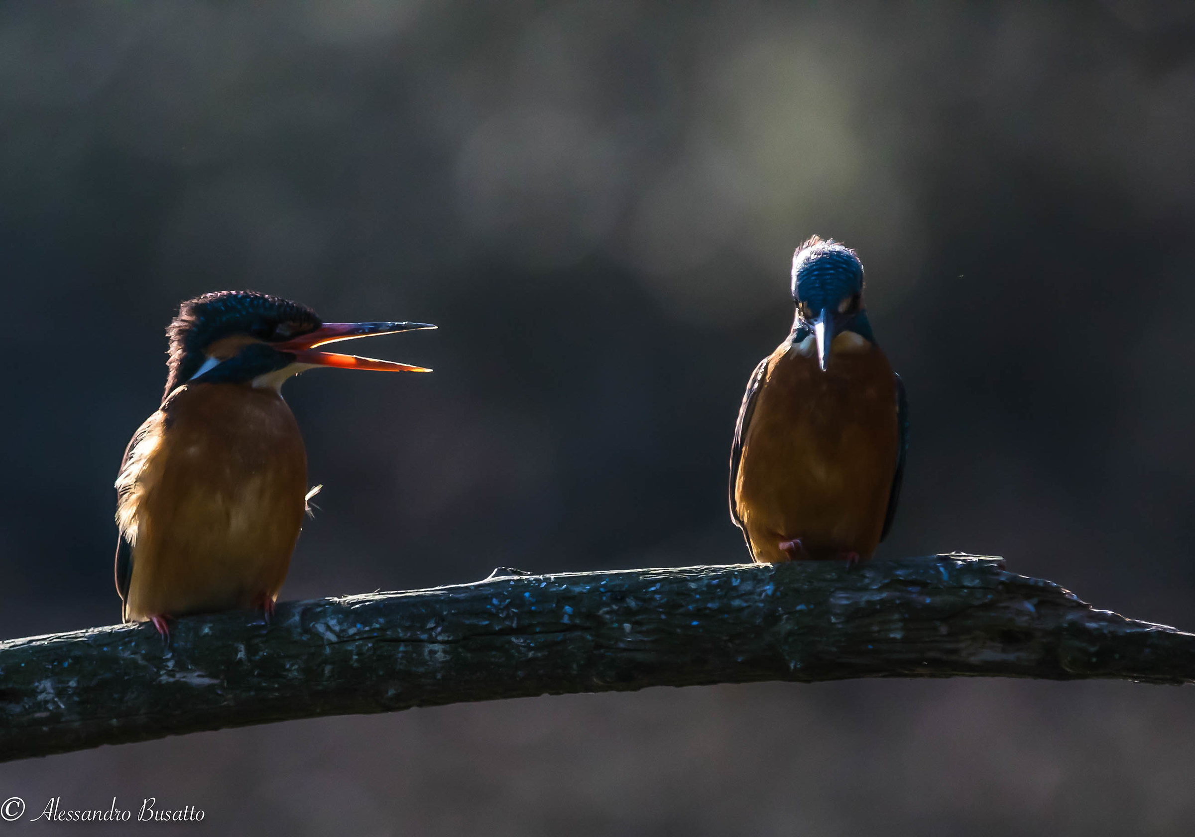 Martina reproaches.... Martin