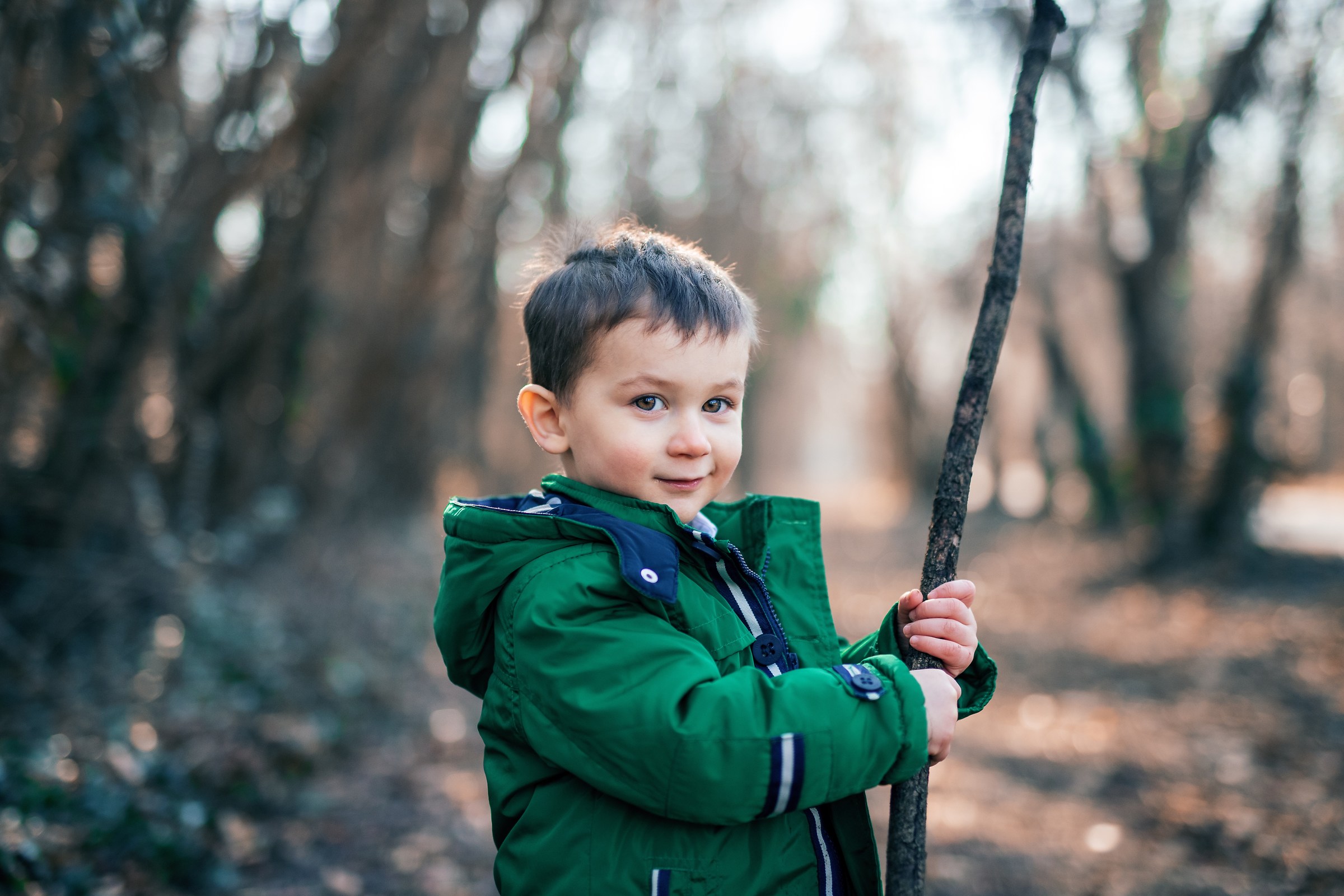 in mezzo al bosco d'inverno