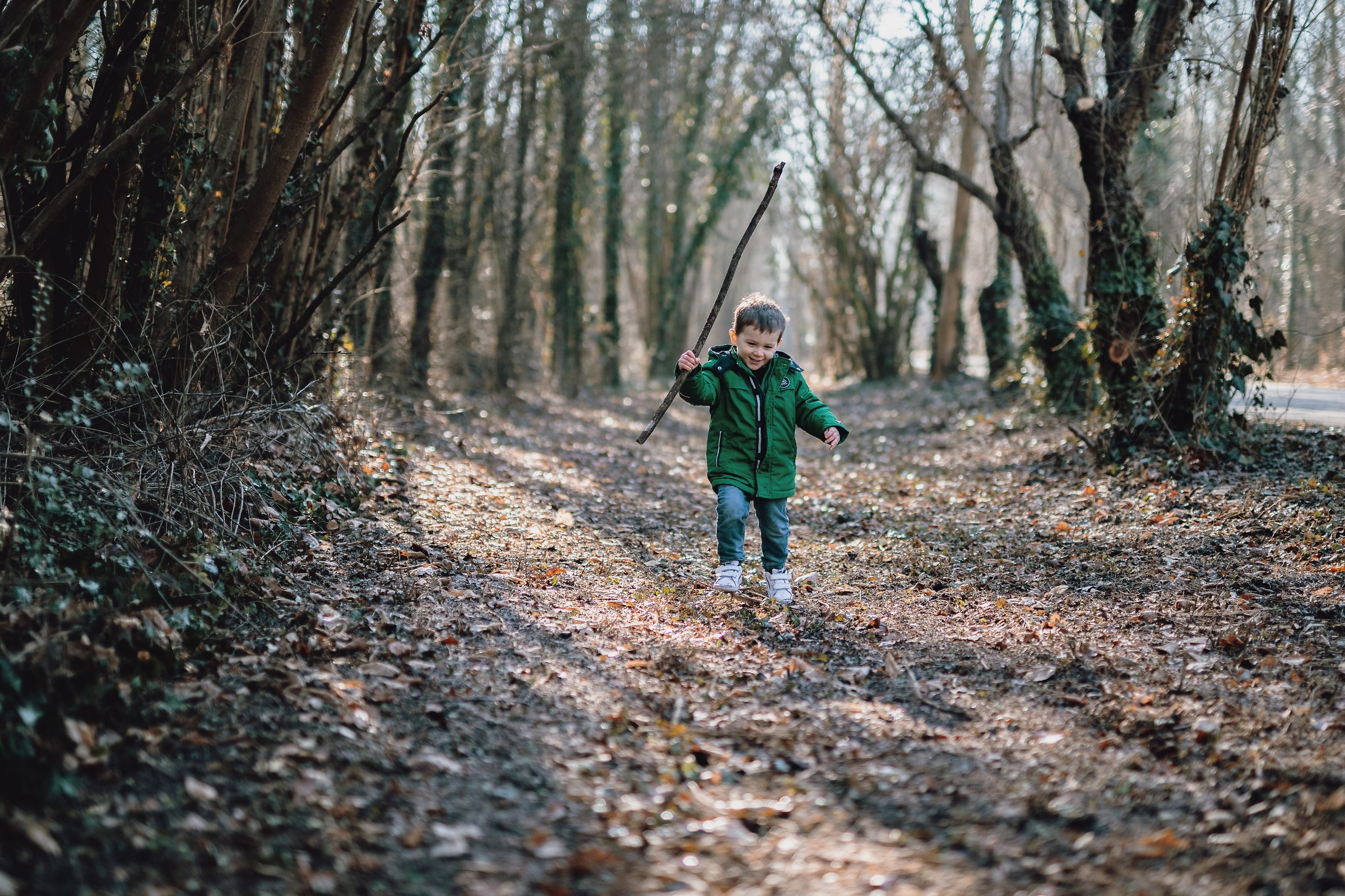 in mezzo al bosco d'inverno