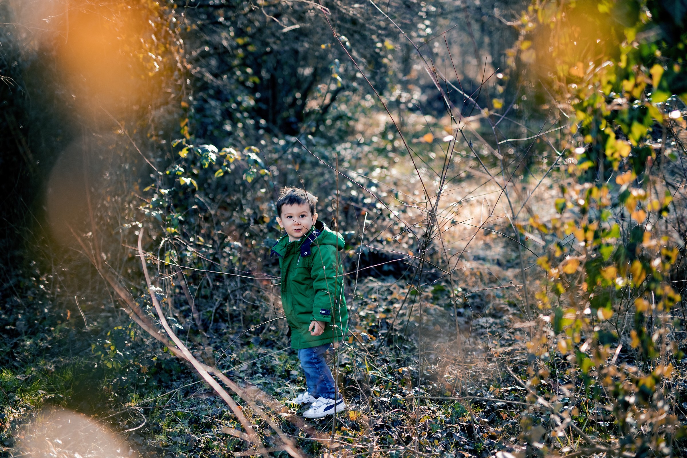 in mezzo al borsco d'inverno