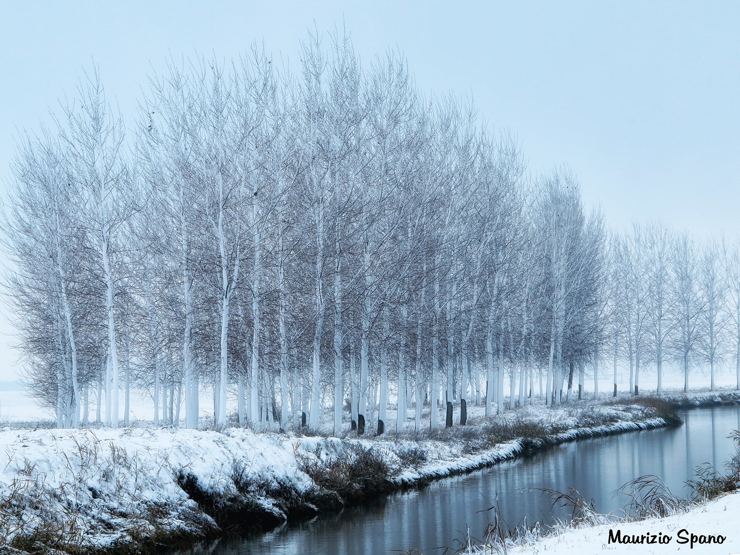 An unusual winter...