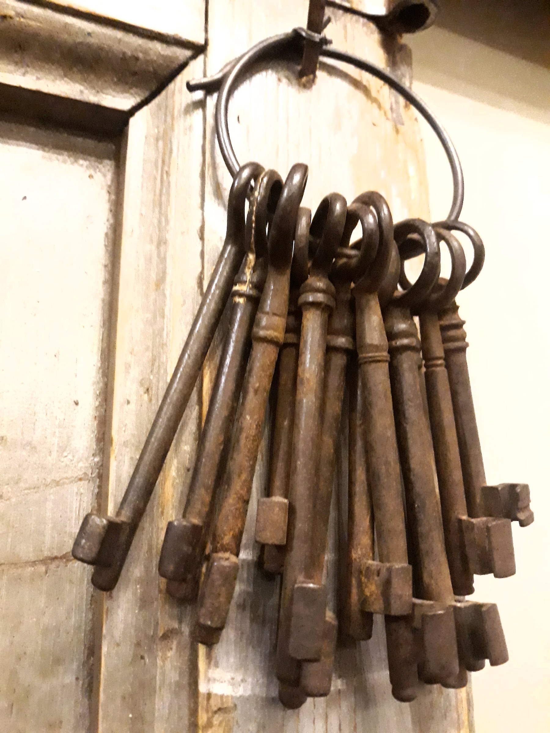 La storia insegna ma non ha scolari