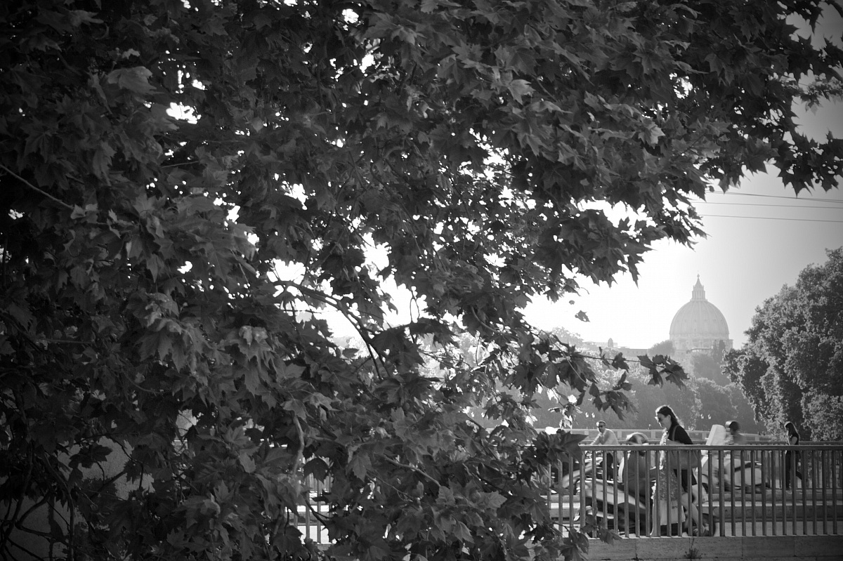 La Basilica di San Pietro incorniciata dalle foglie