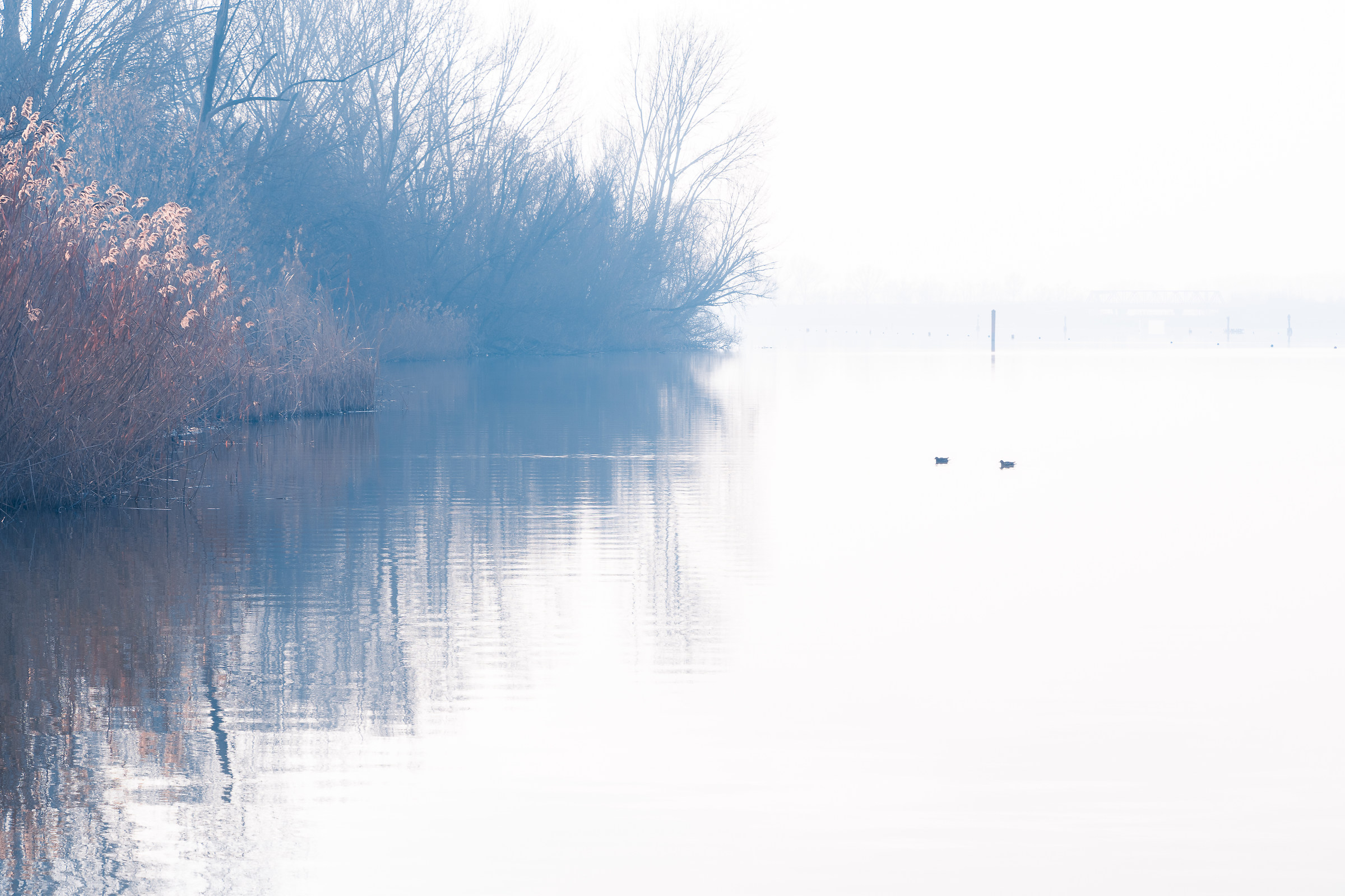 Lago di Mantova e la sua nebbia