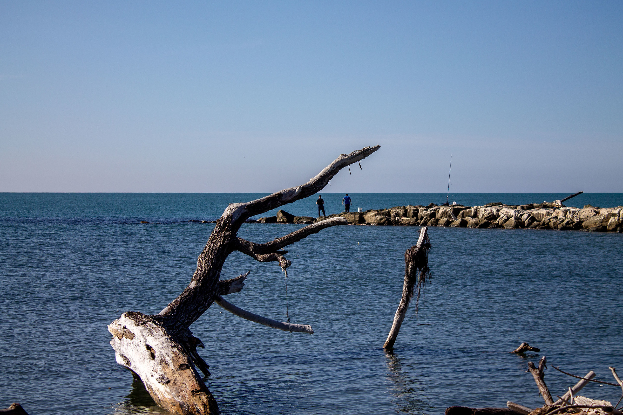 Oasi naturale dei Variconi