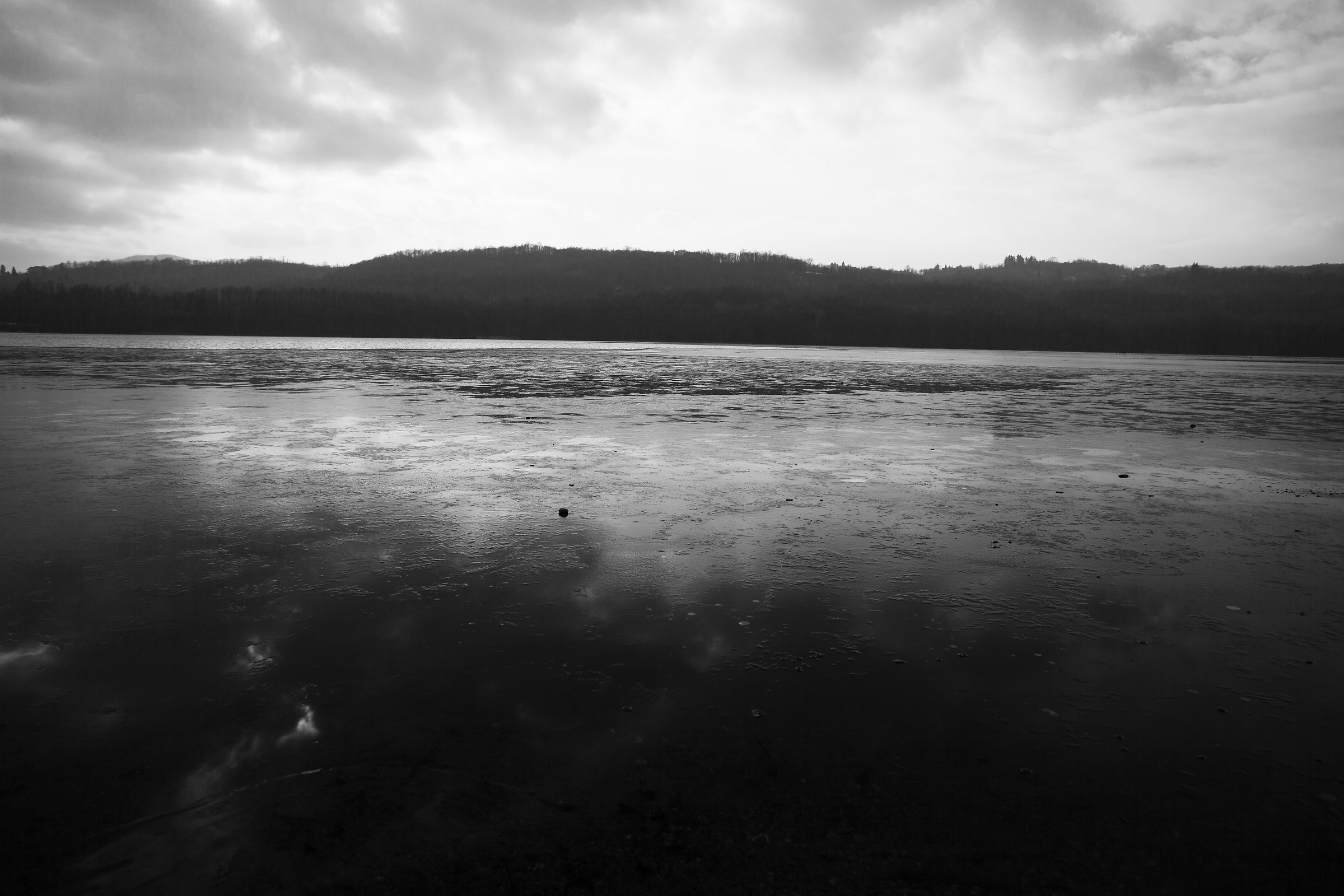 The Forest and the lake