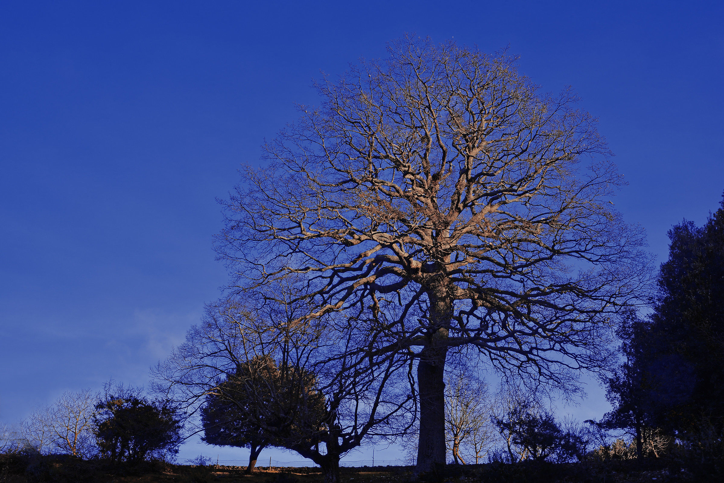 Ultimo raggio sul gigante