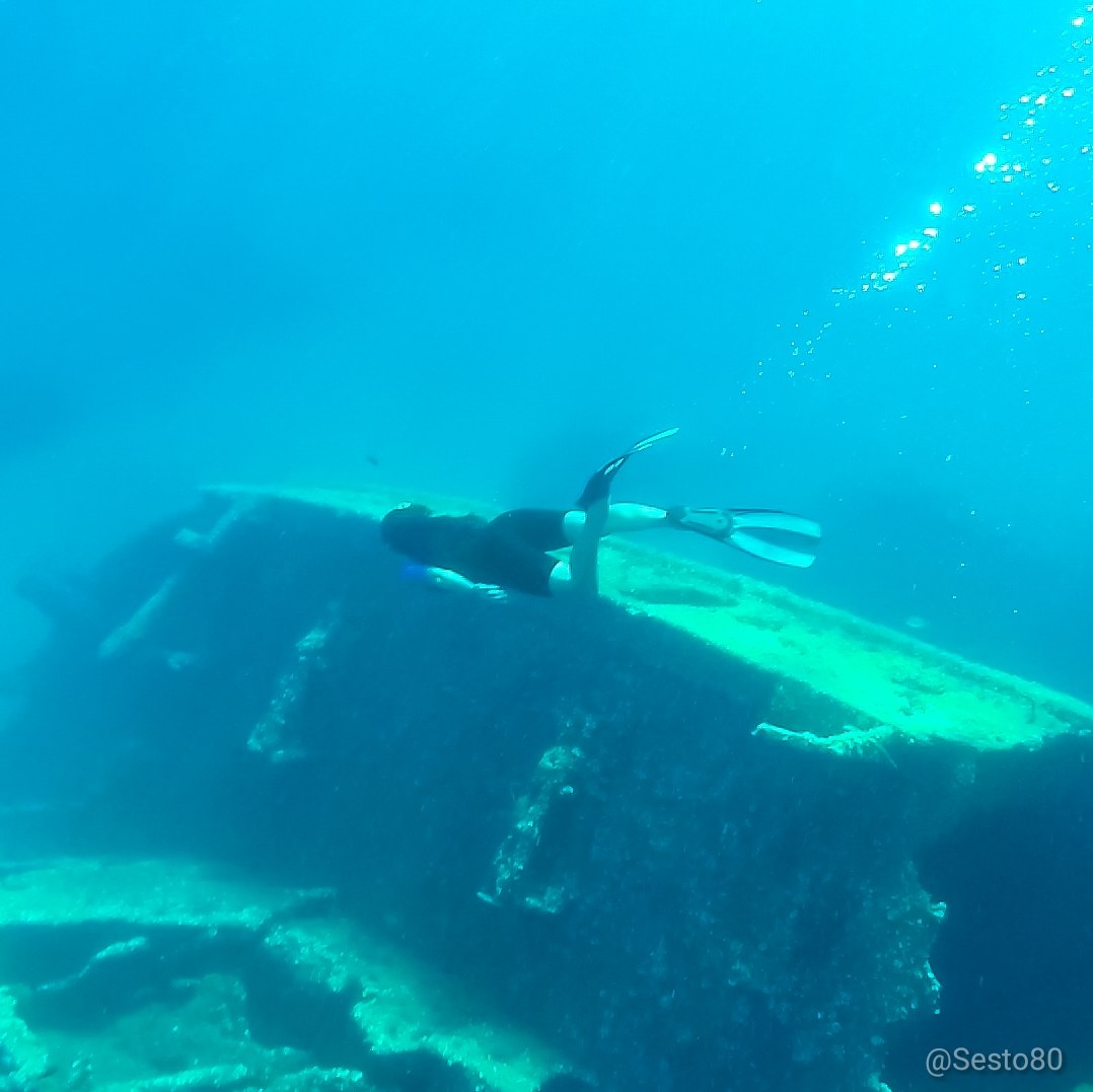 Eelviscot, Island of Elba