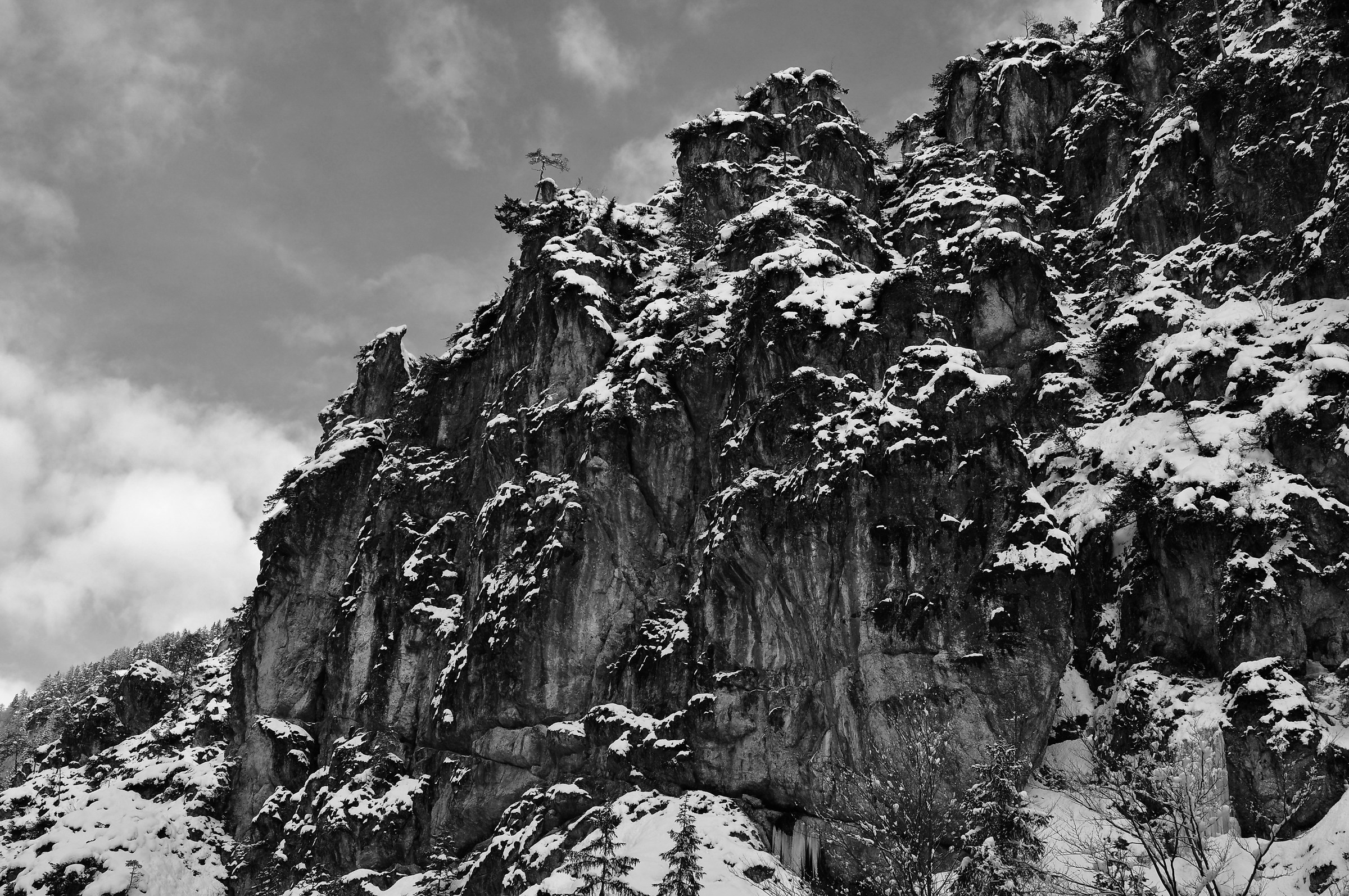 Alpine Zen Landscape