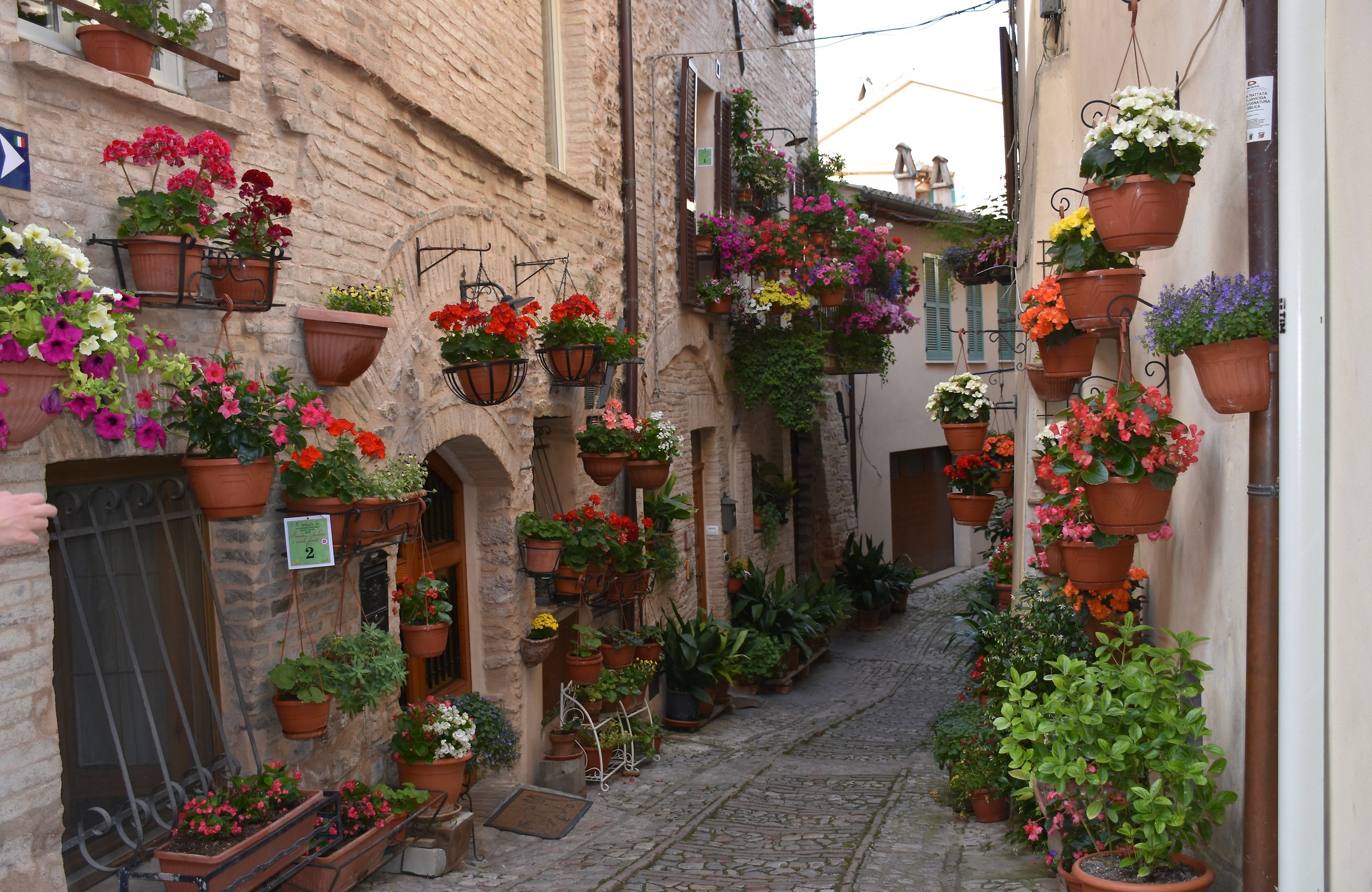 Spello