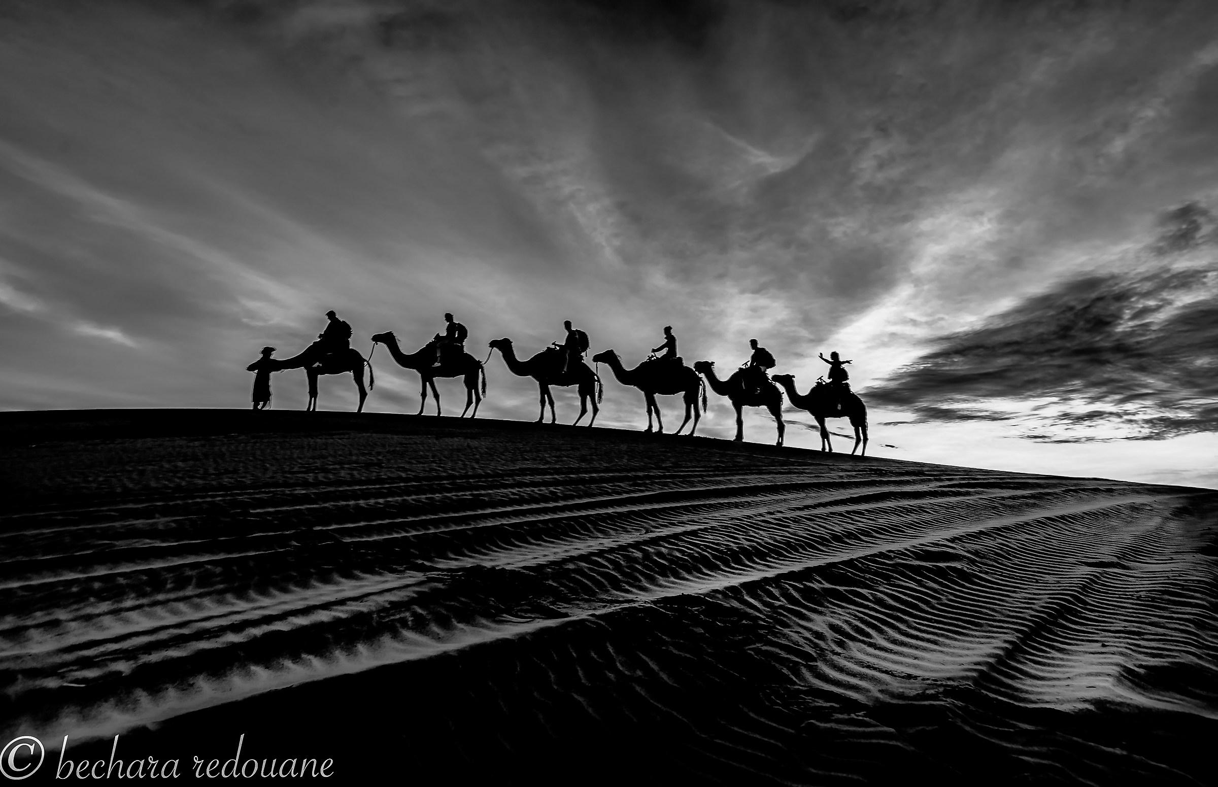 The Caravan of the desert