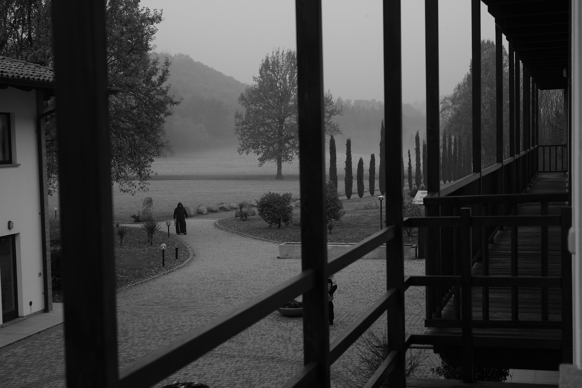 Bose-a shadow between the gray world