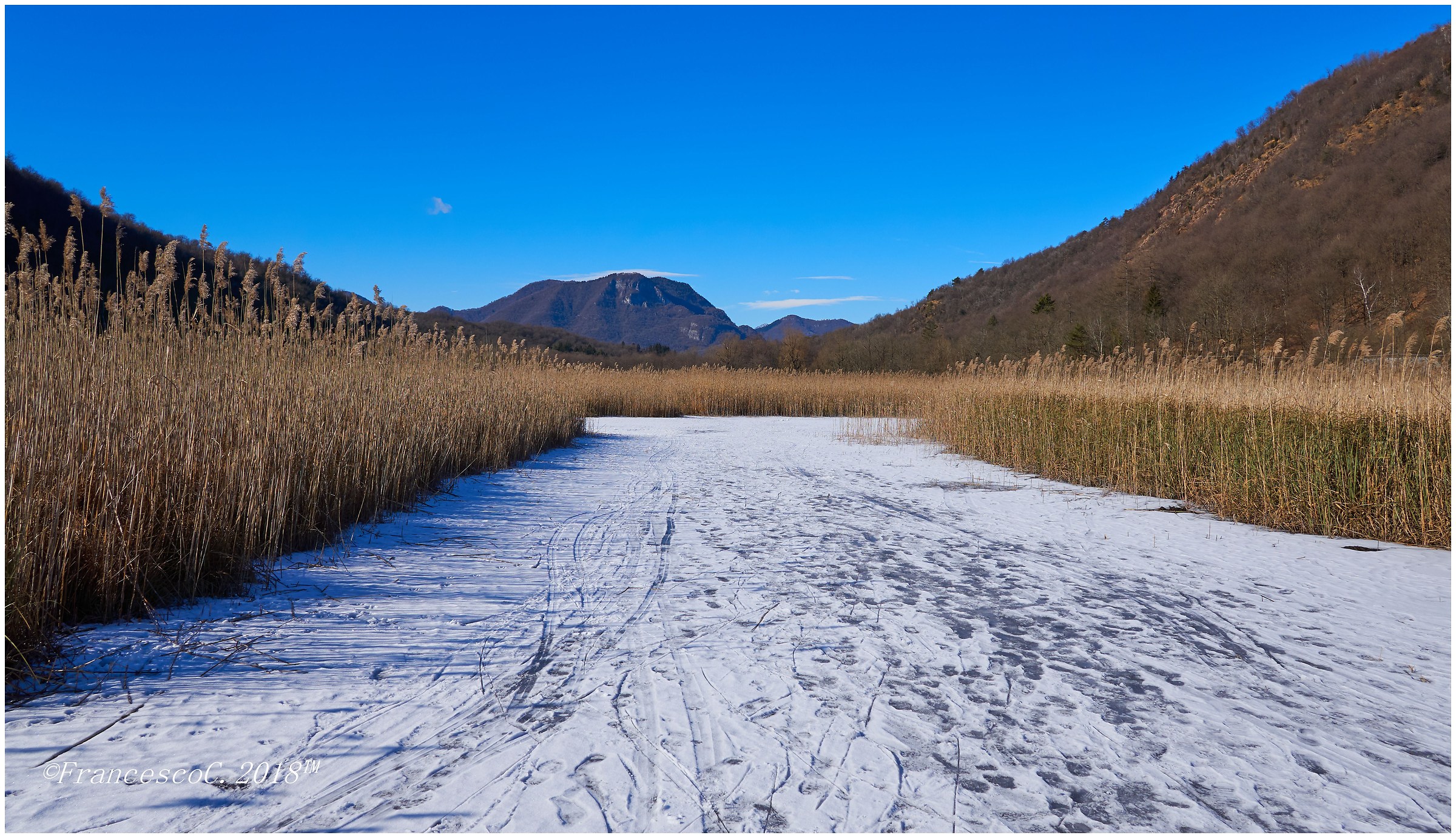 La torbiera ghiacciata