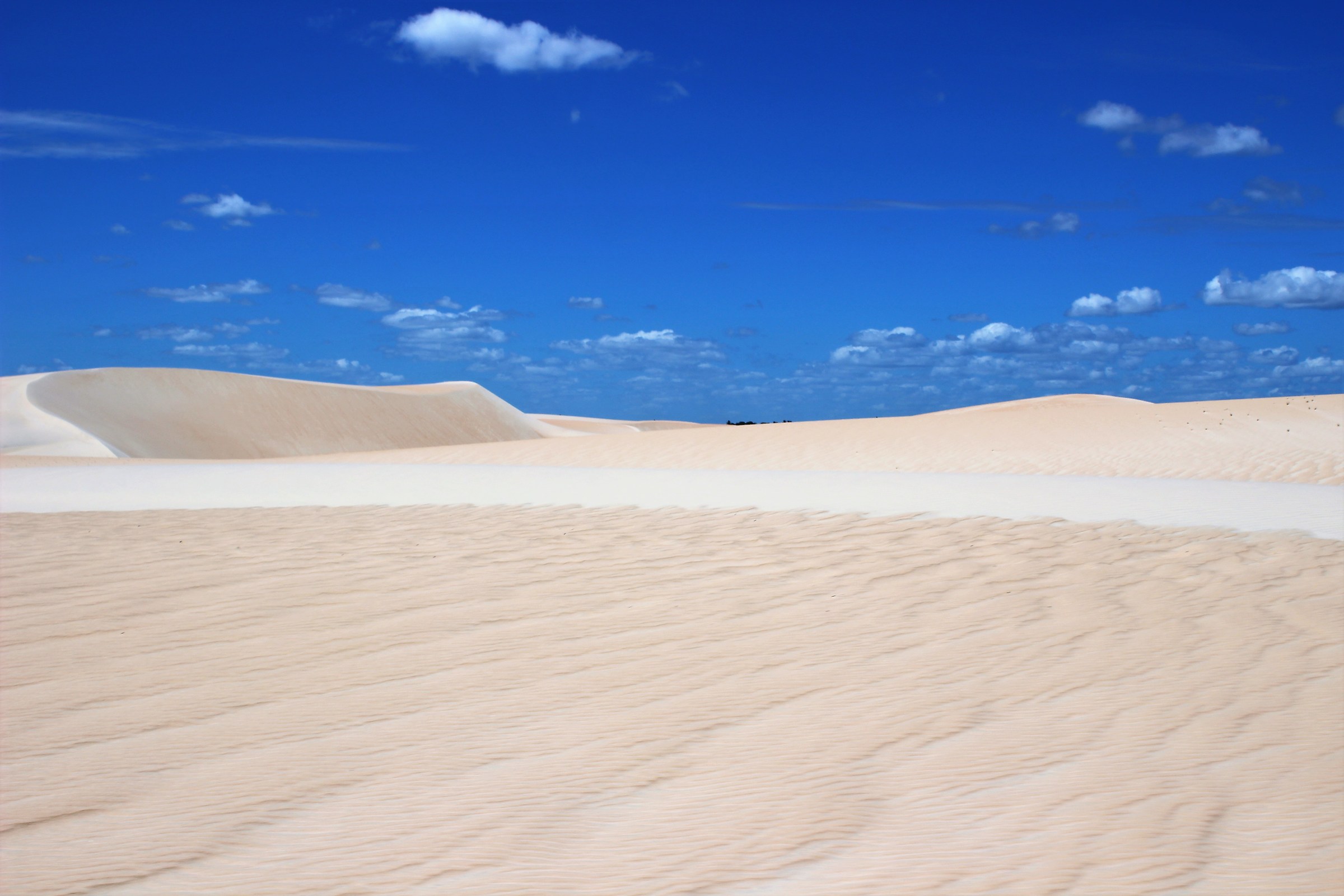 Combinazione di colori