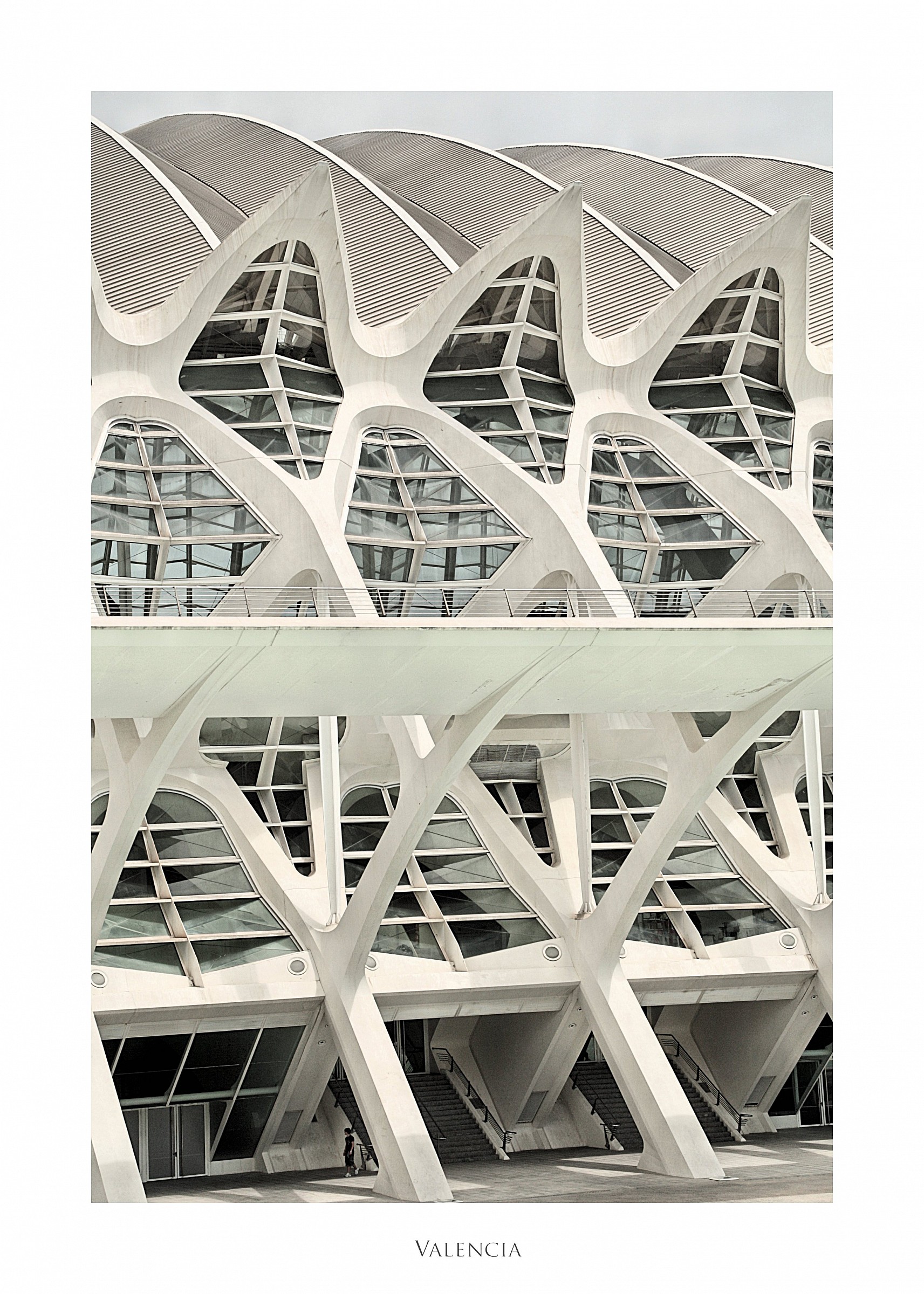 Museu de les Ciències Prince Felipe (Detail)