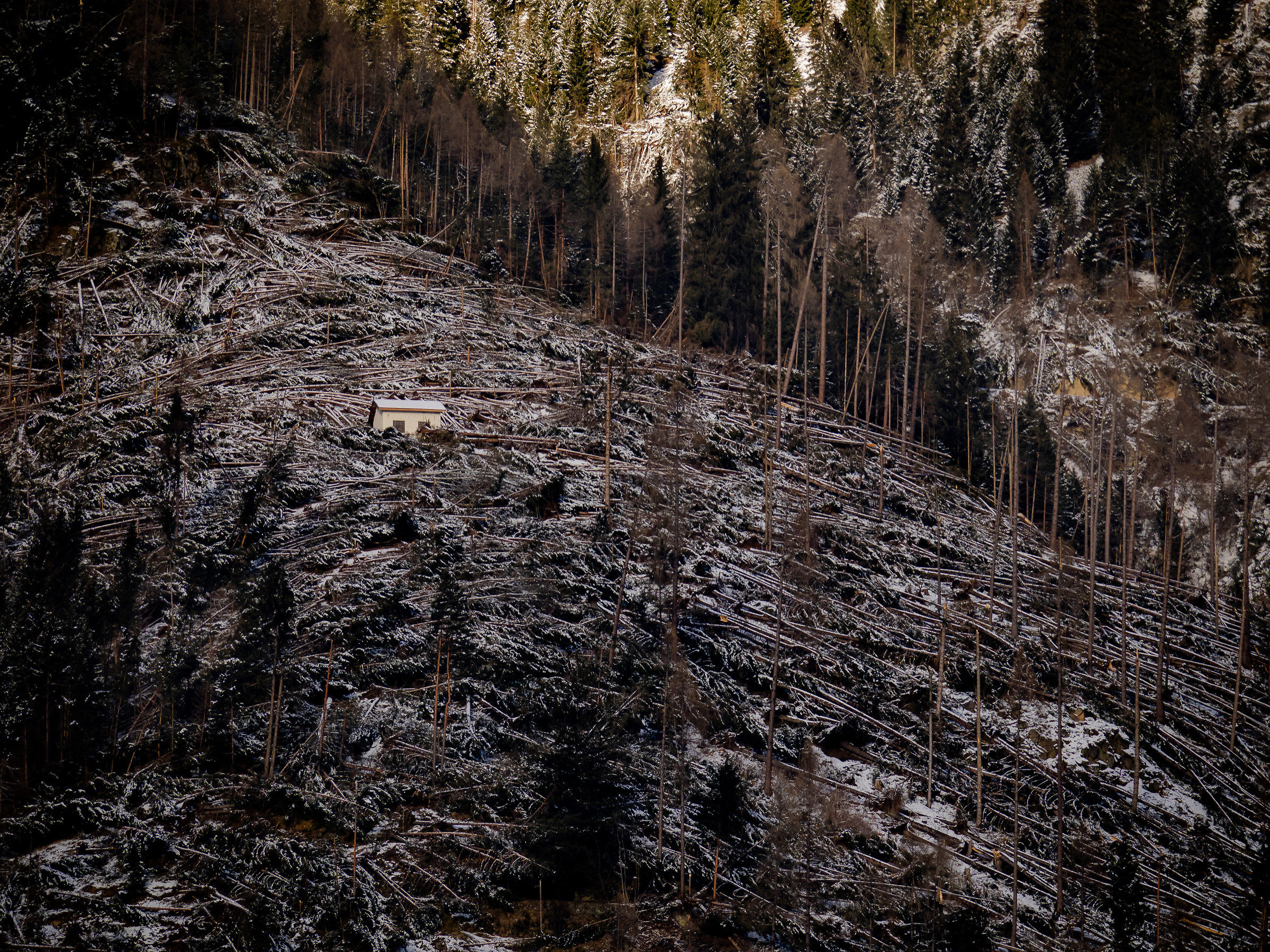 La forza della natura