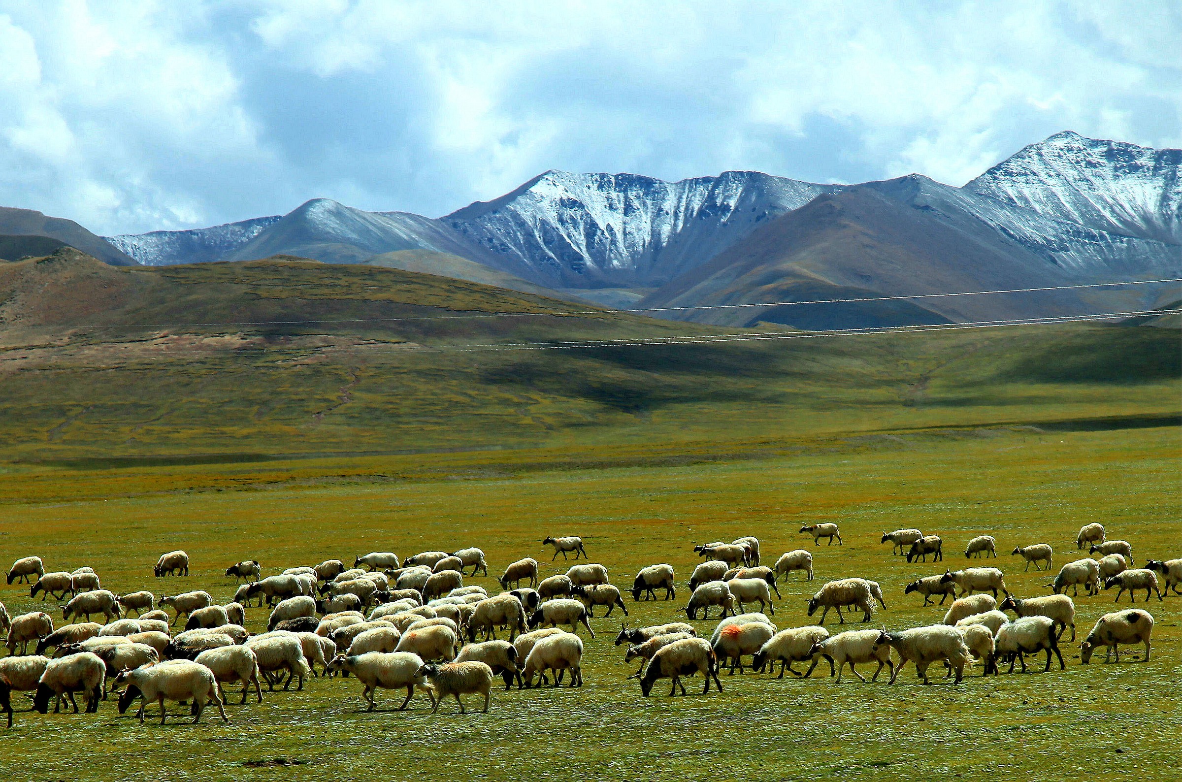 Tibet