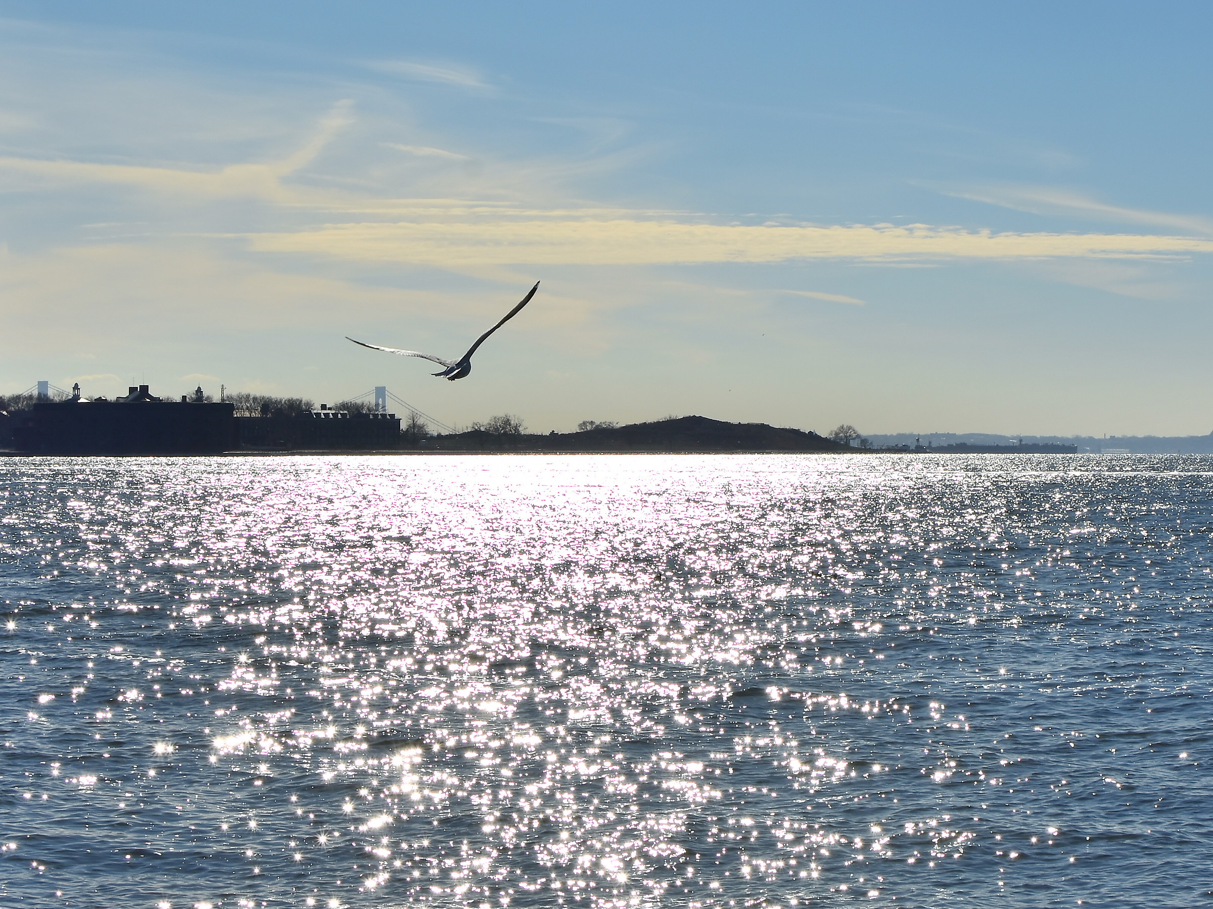 Volo verso la Libertà