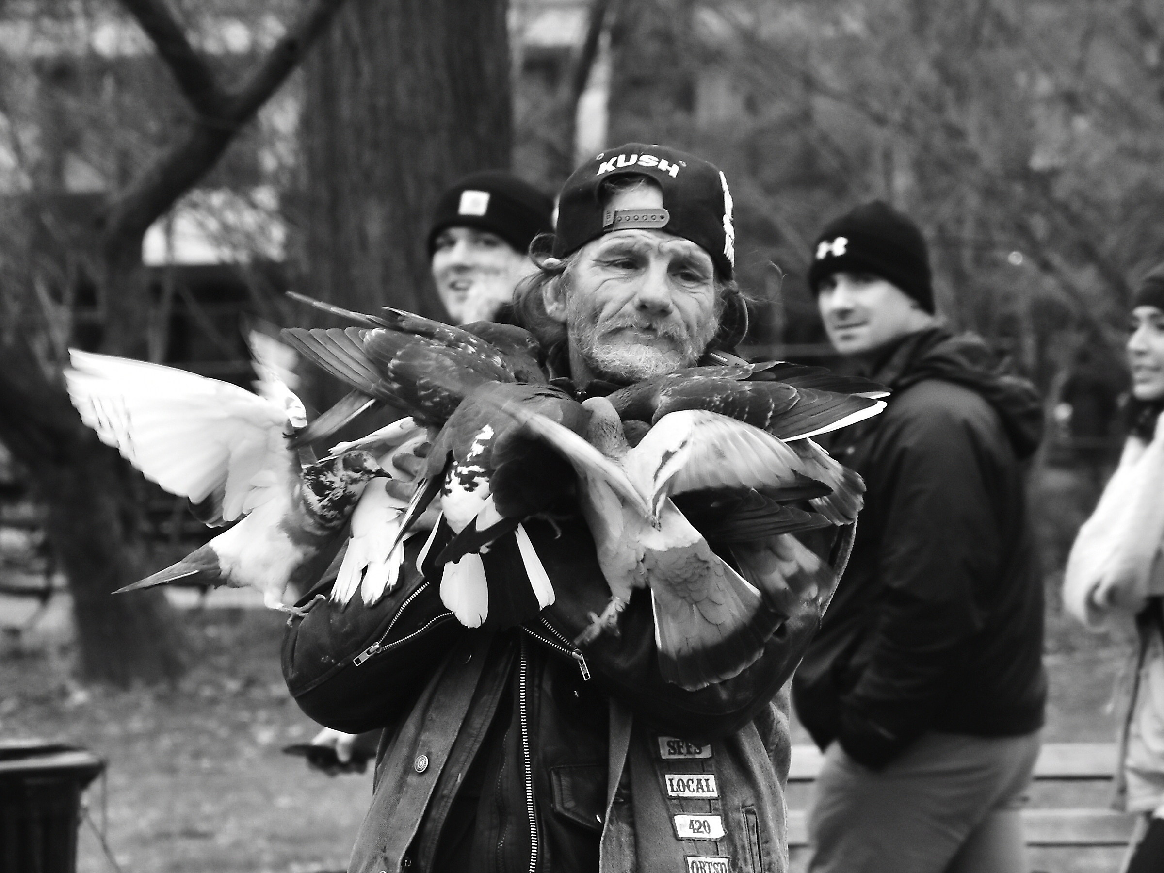 L'uomo che sussurrava ai piccioni!