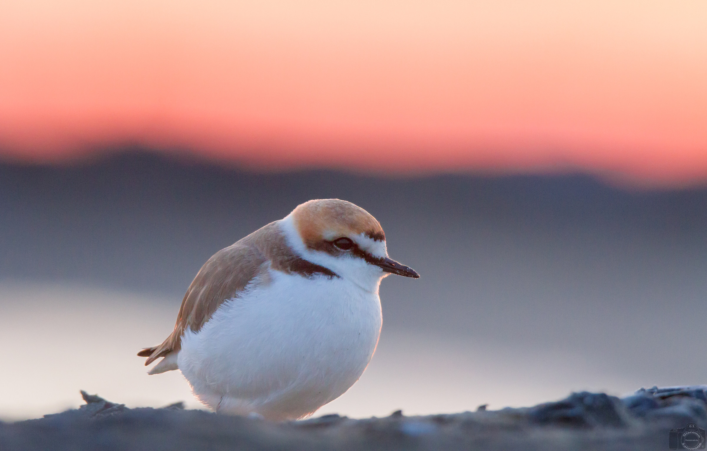 Tramonto con il Fratino