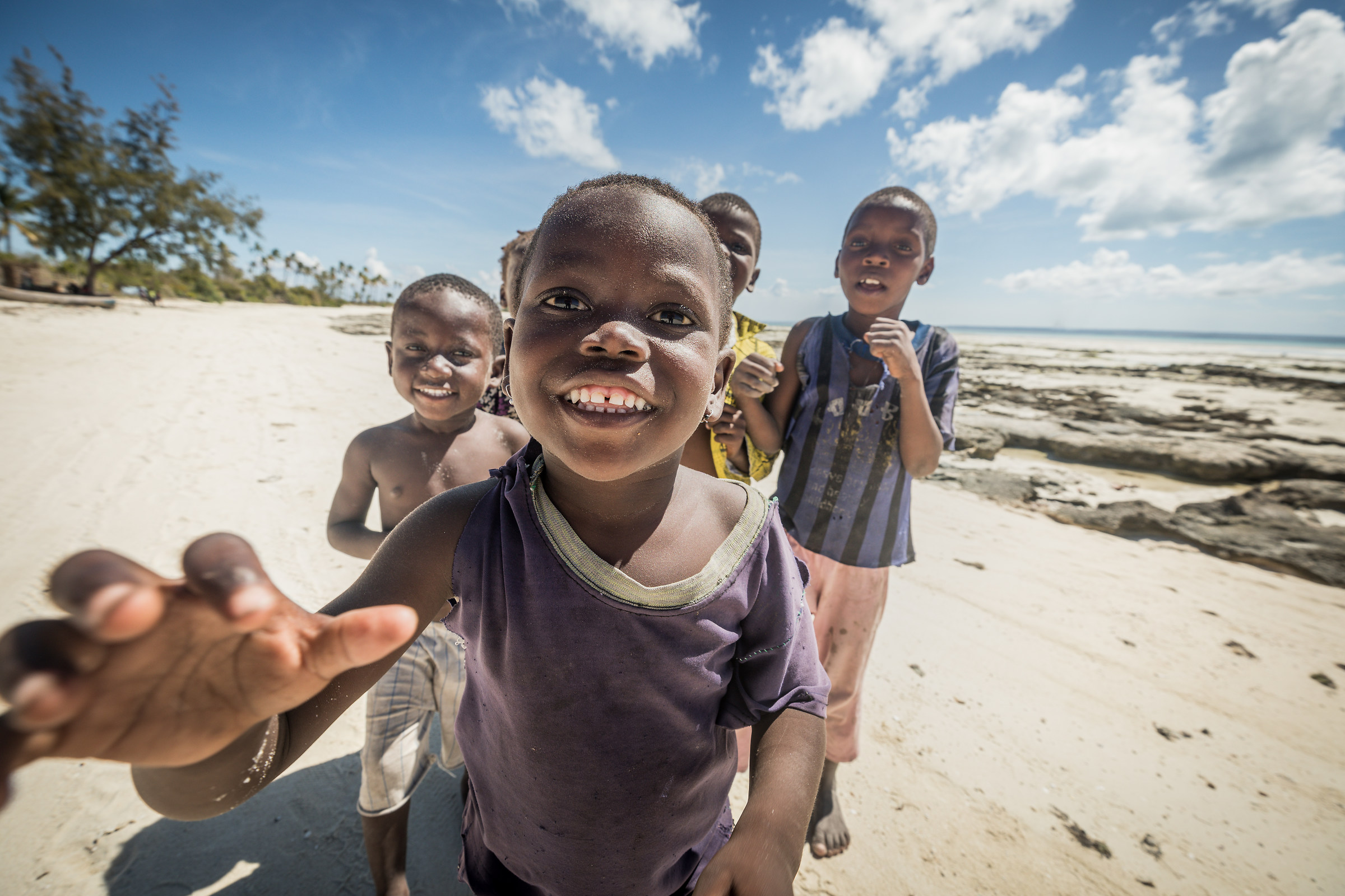 Those pests of Matemo, Mozambique