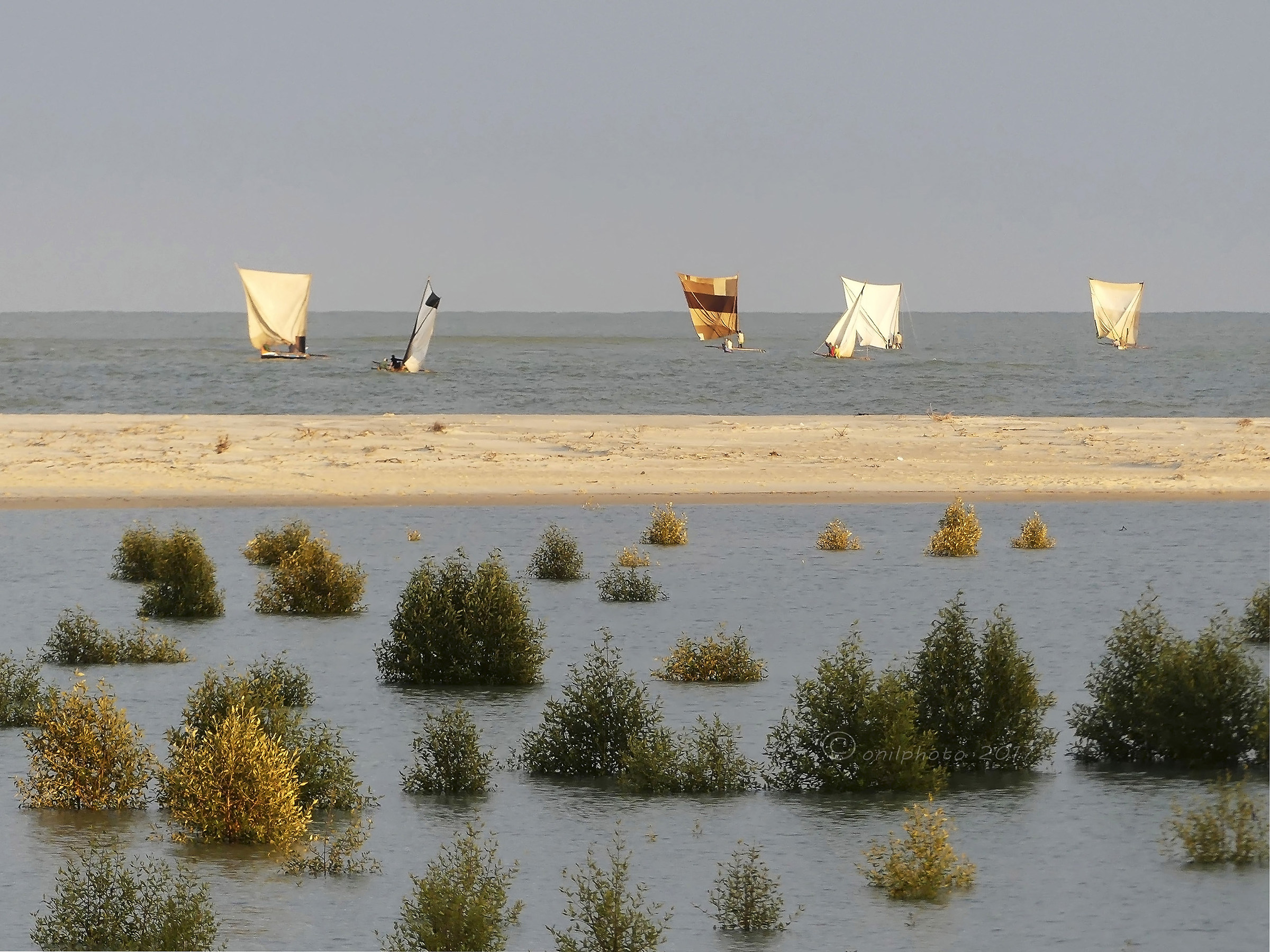 Morondava - Costa ovest Madagascar