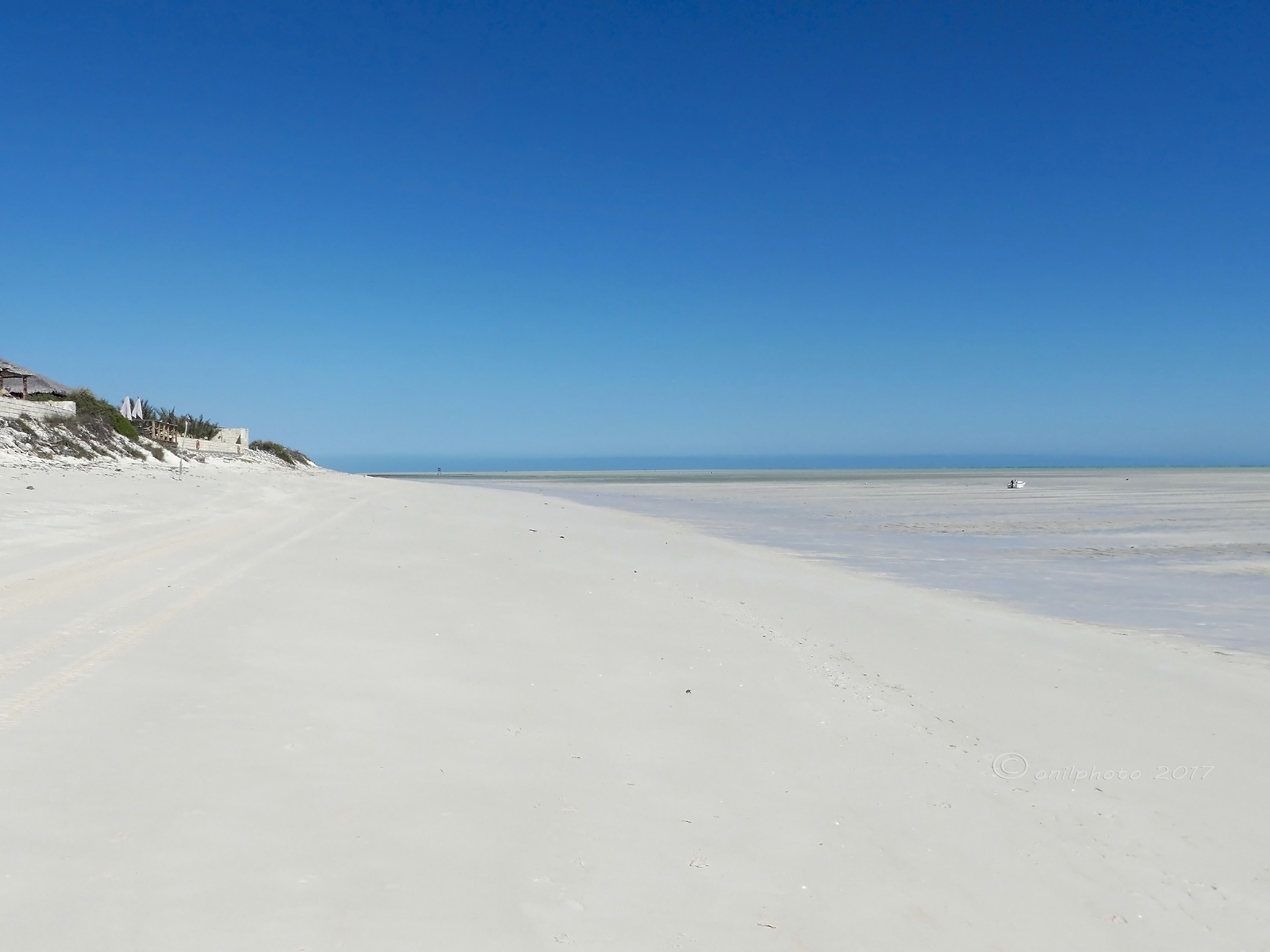 .....con tutta la neve che c'è in giro. Madagasca...