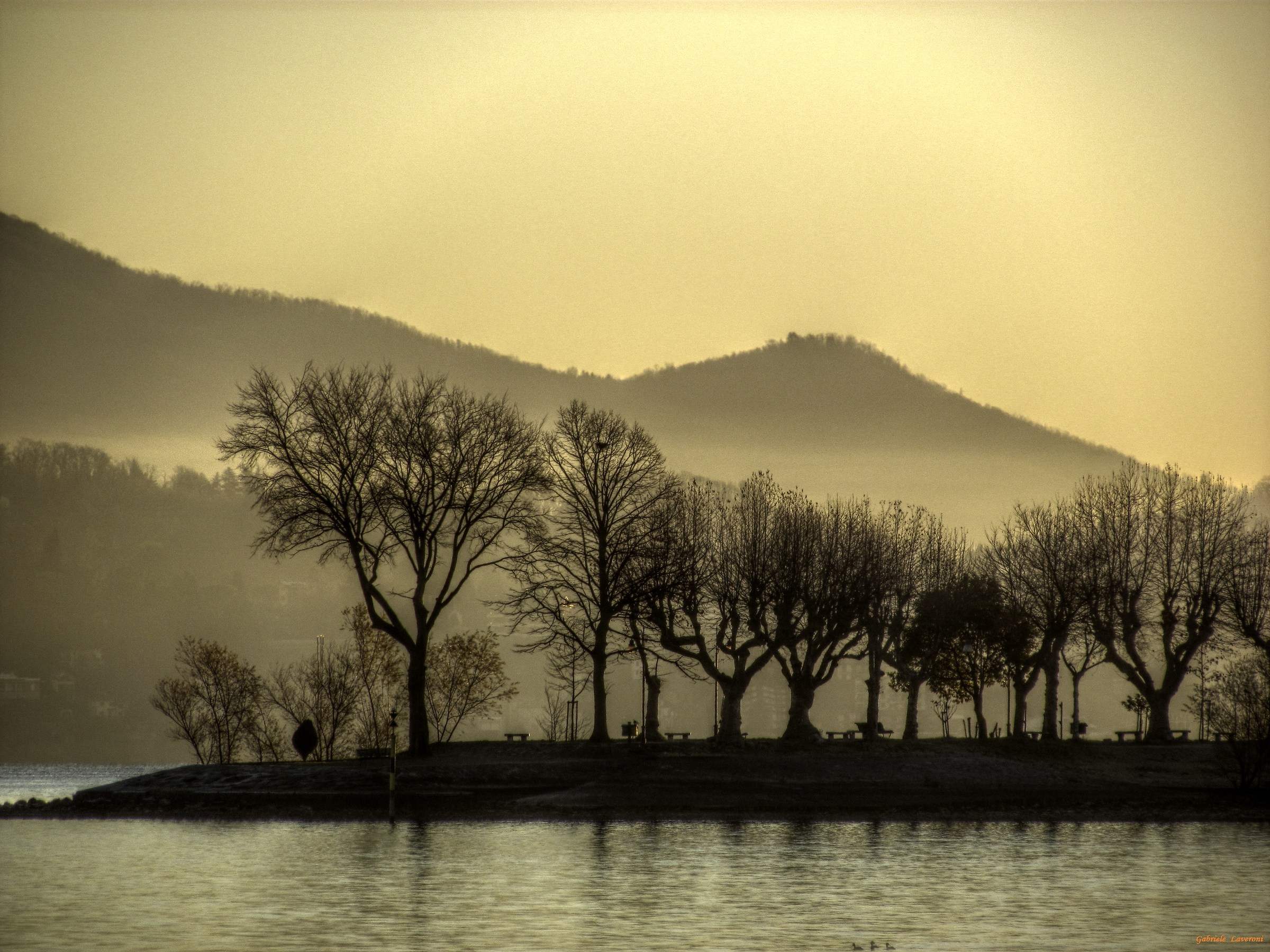 Fisherman Island Detail