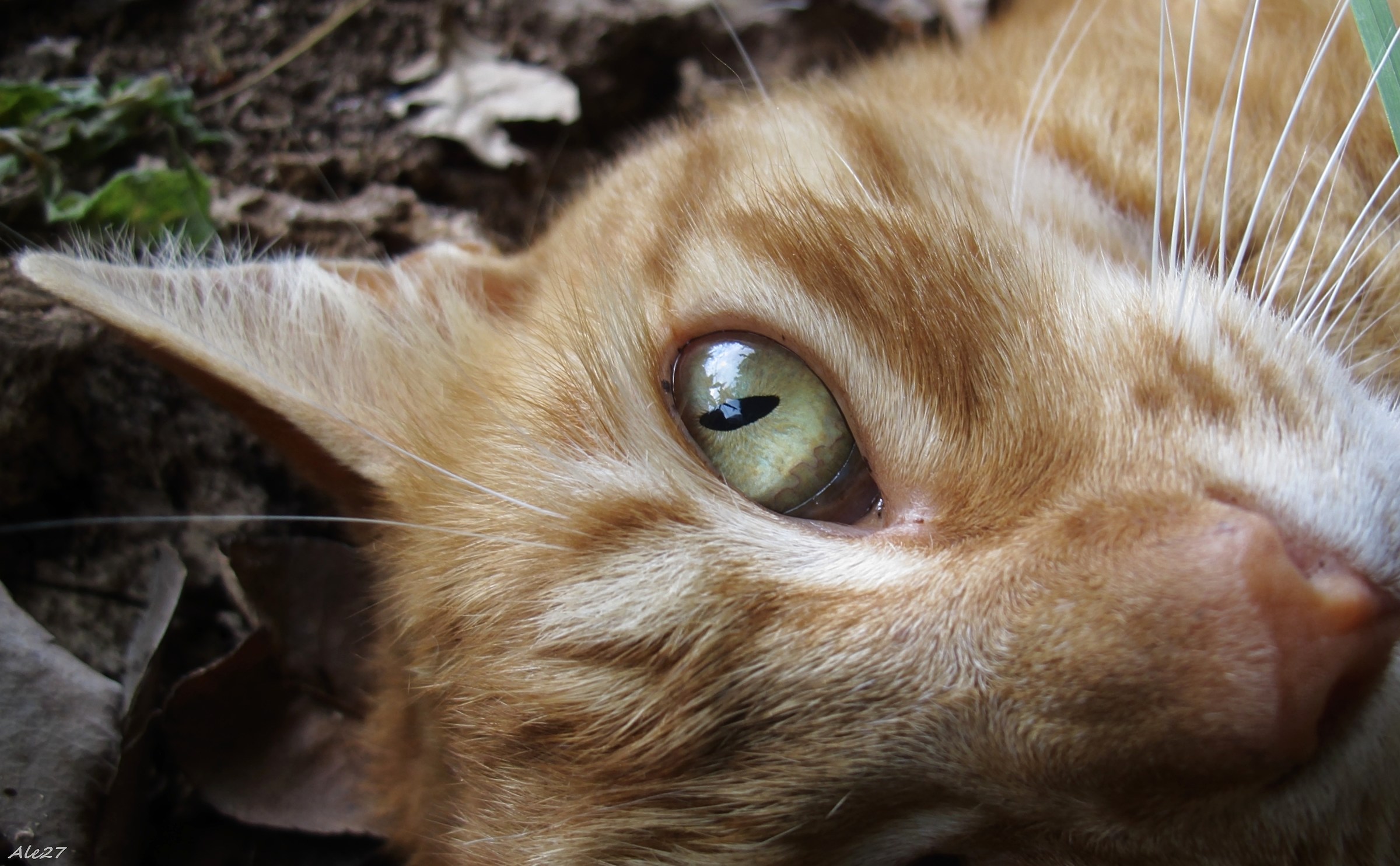 ... in your eyes....