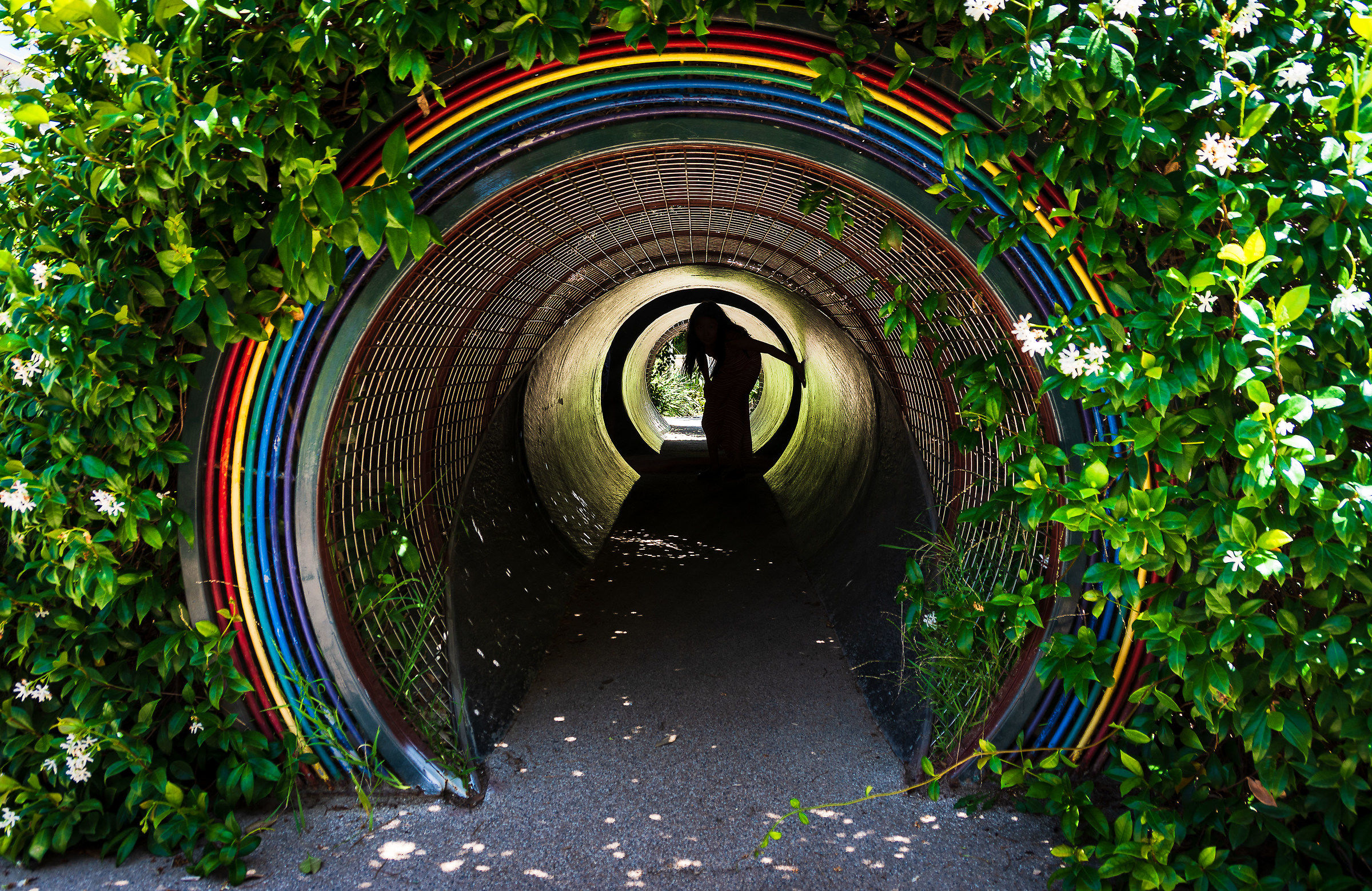 La tana del bianconiglio?