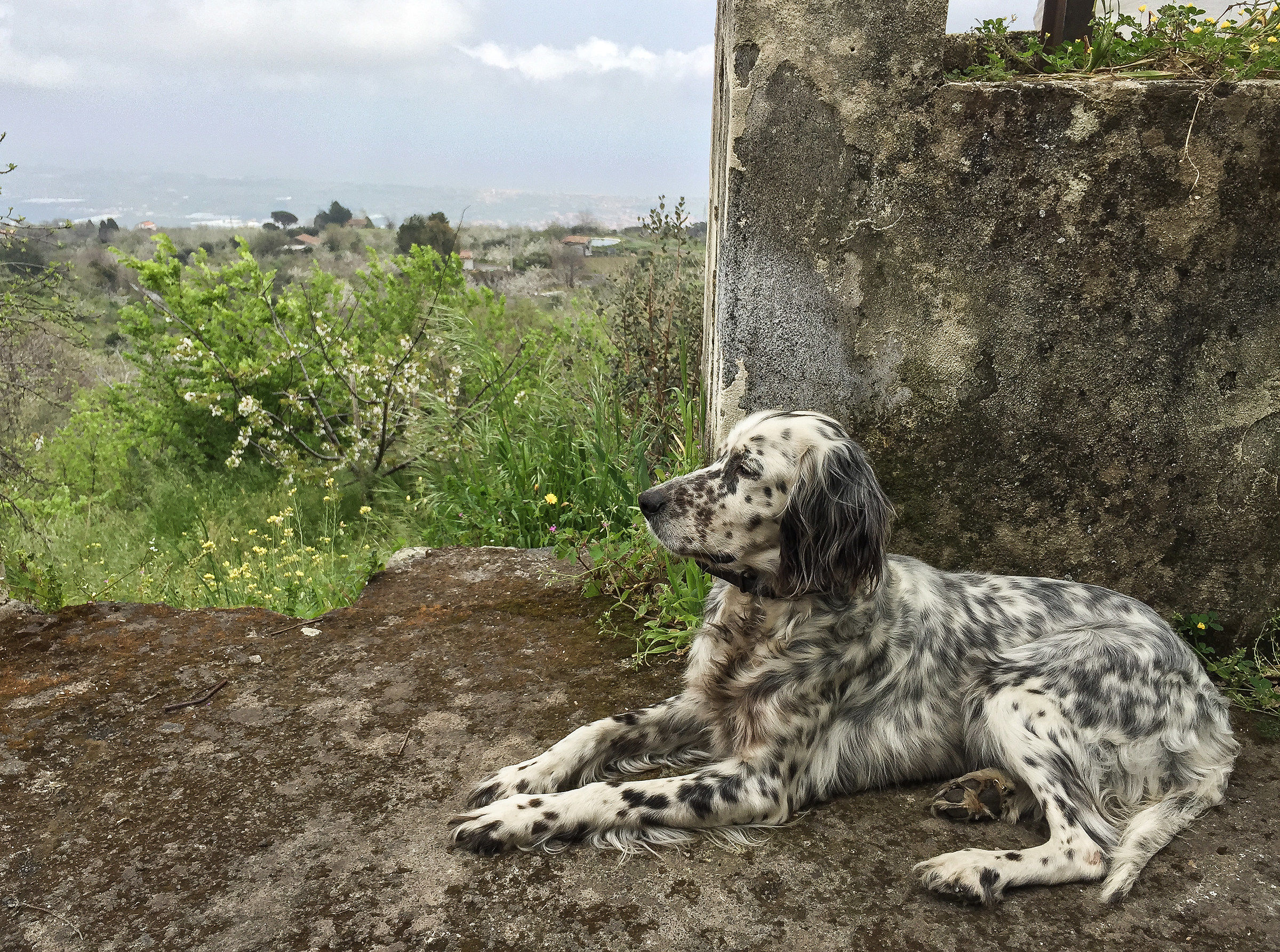 A look at the valley...