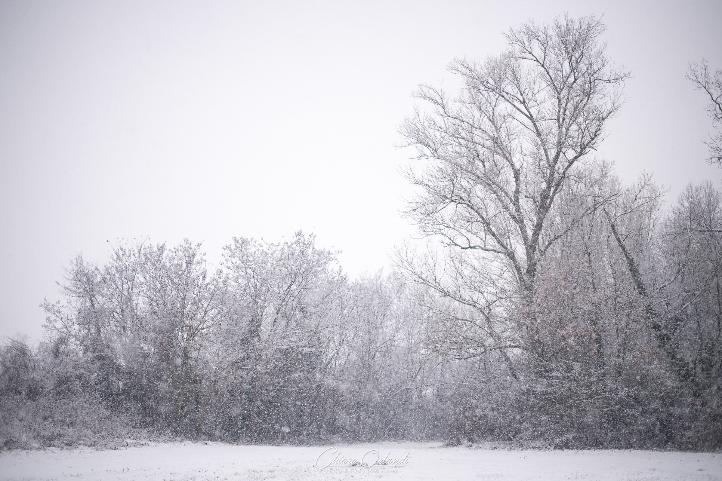Silenzioni Landscapes