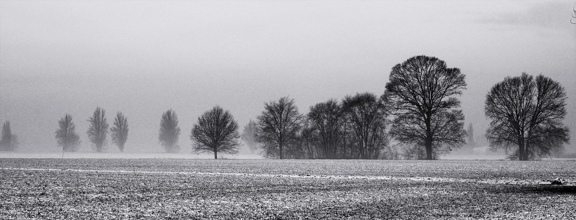 Reverse in countryside