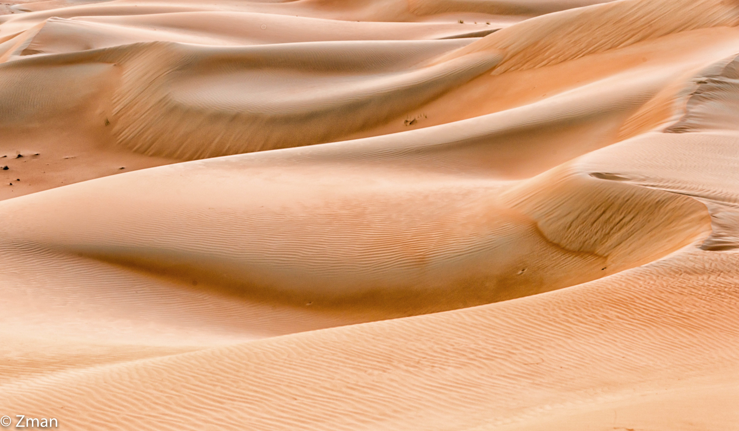 Qasr al Sarab Dunes