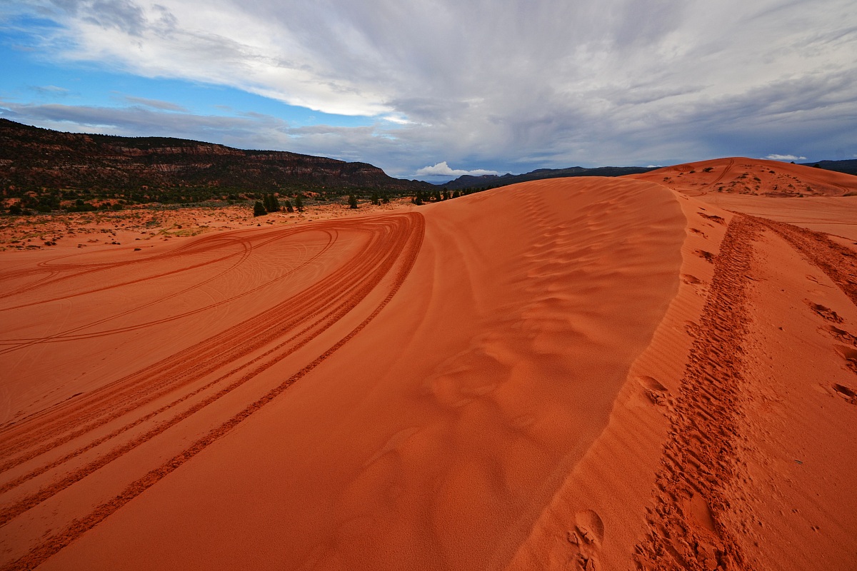 Coral pink sand dunes SP