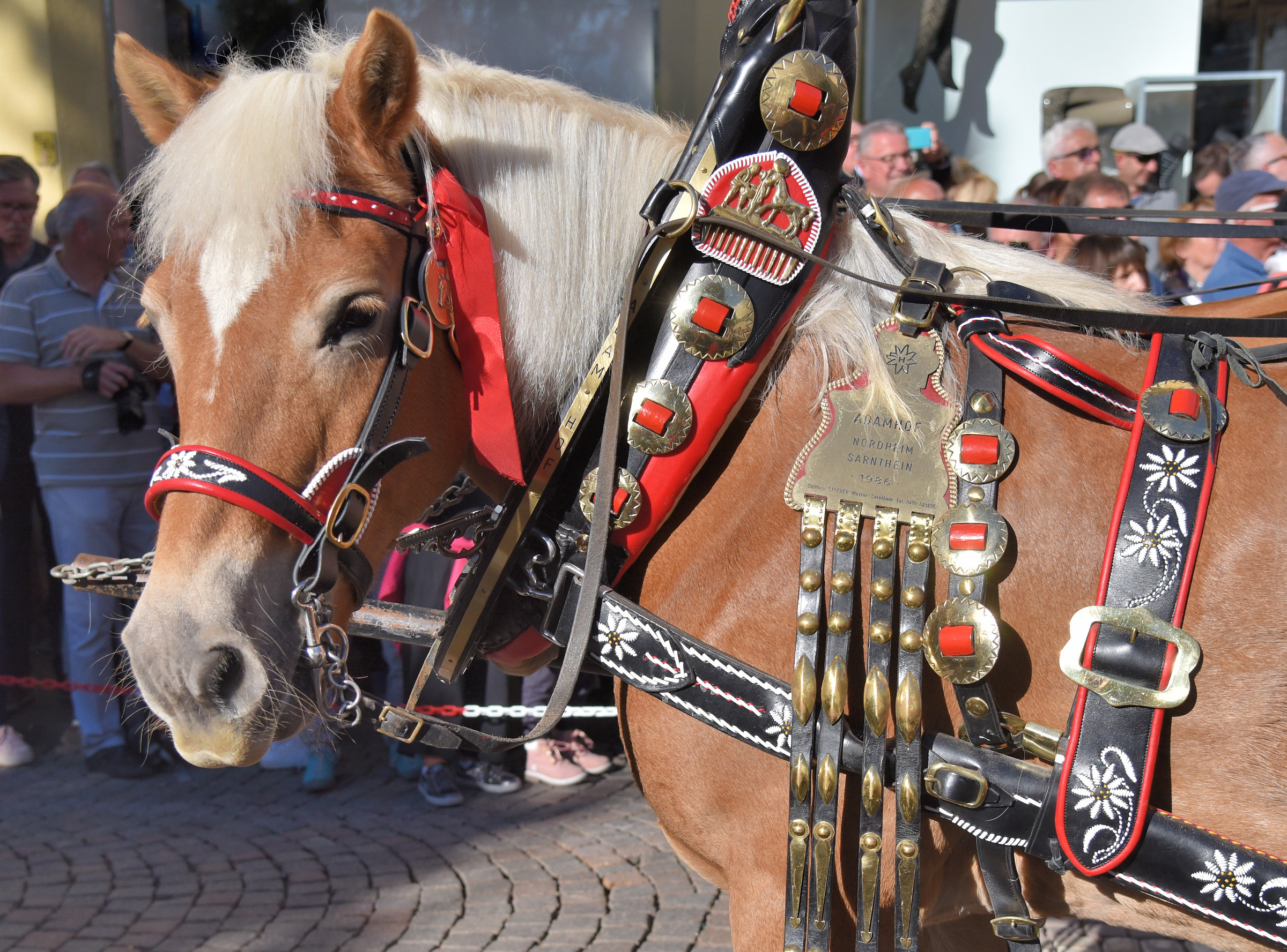 anche lui era protagonista