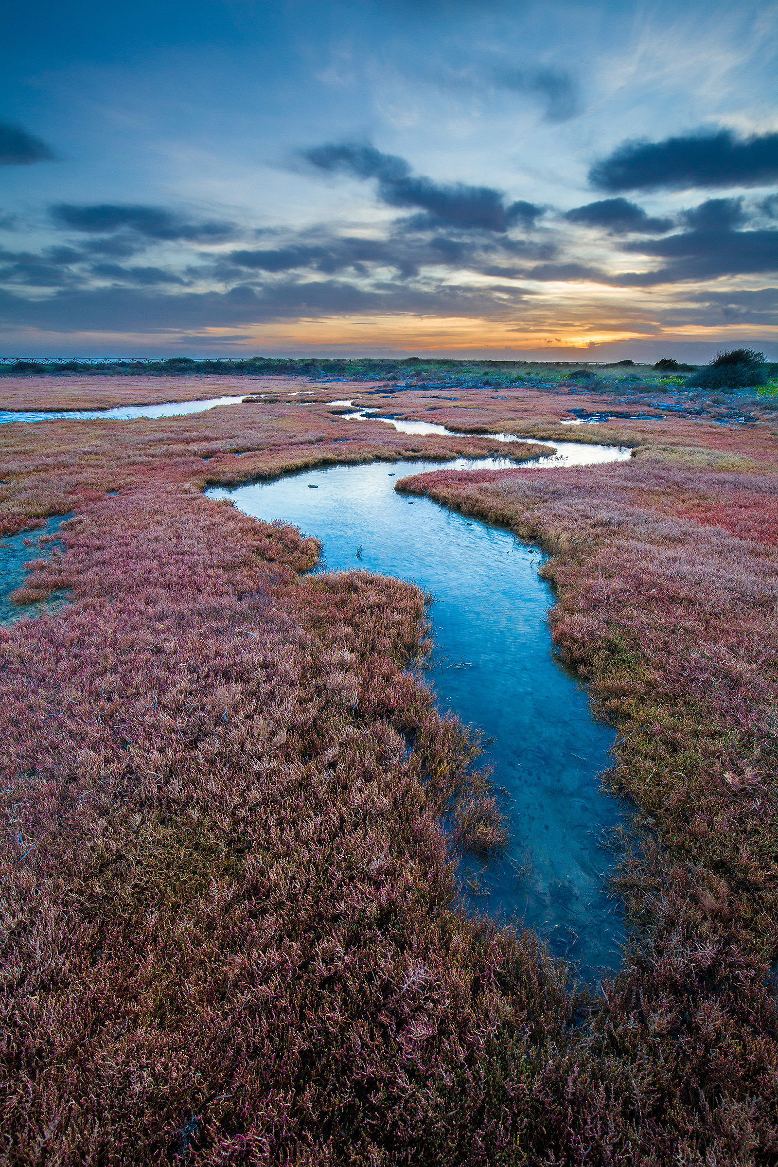La Strea (Porto Cesareo)